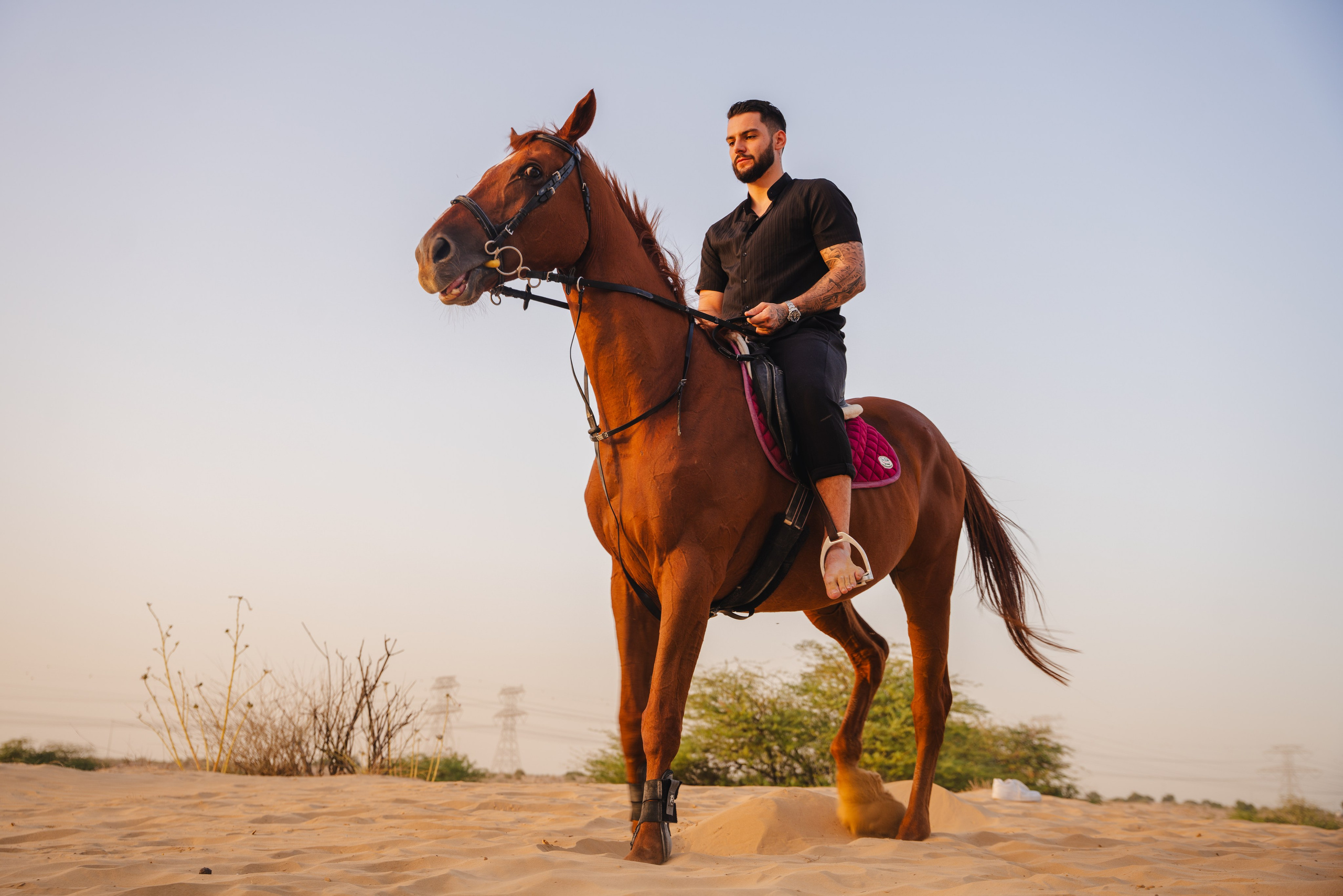 With horses and camels. Photographer in Dubai | Dmitriy Gromov — Photoshoots, Events & Luxury Photography