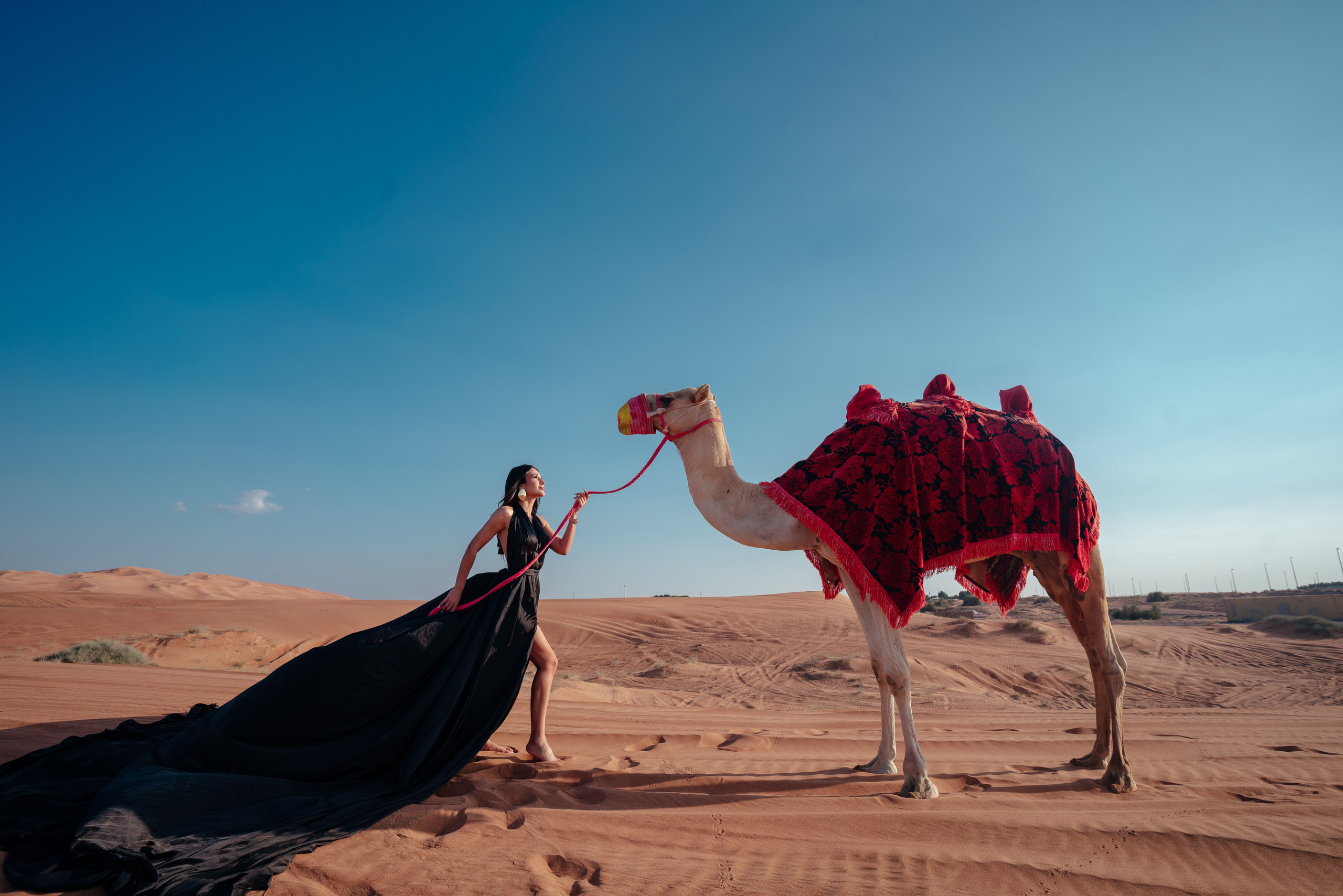 With horses and camels. Photographer in Dubai | Dmitriy Gromov — Photoshoots, Events & Luxury Photography