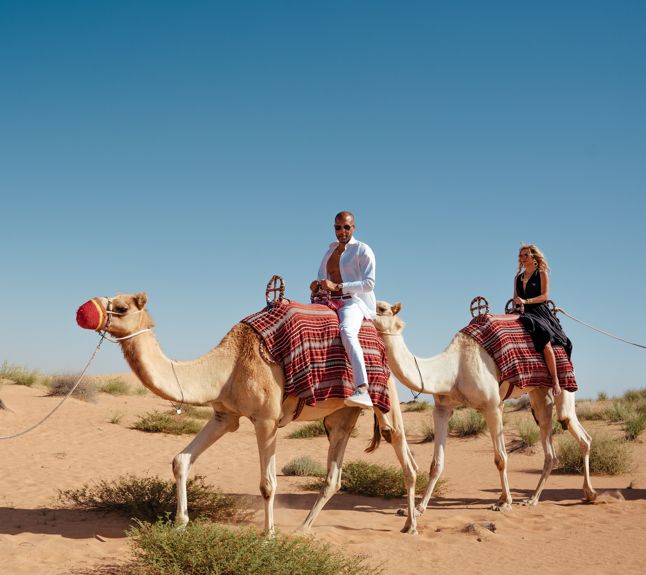 With horses and camels. Photographer in Dubai | Dmitriy Gromov — Photoshoots, Events & Luxury Photography