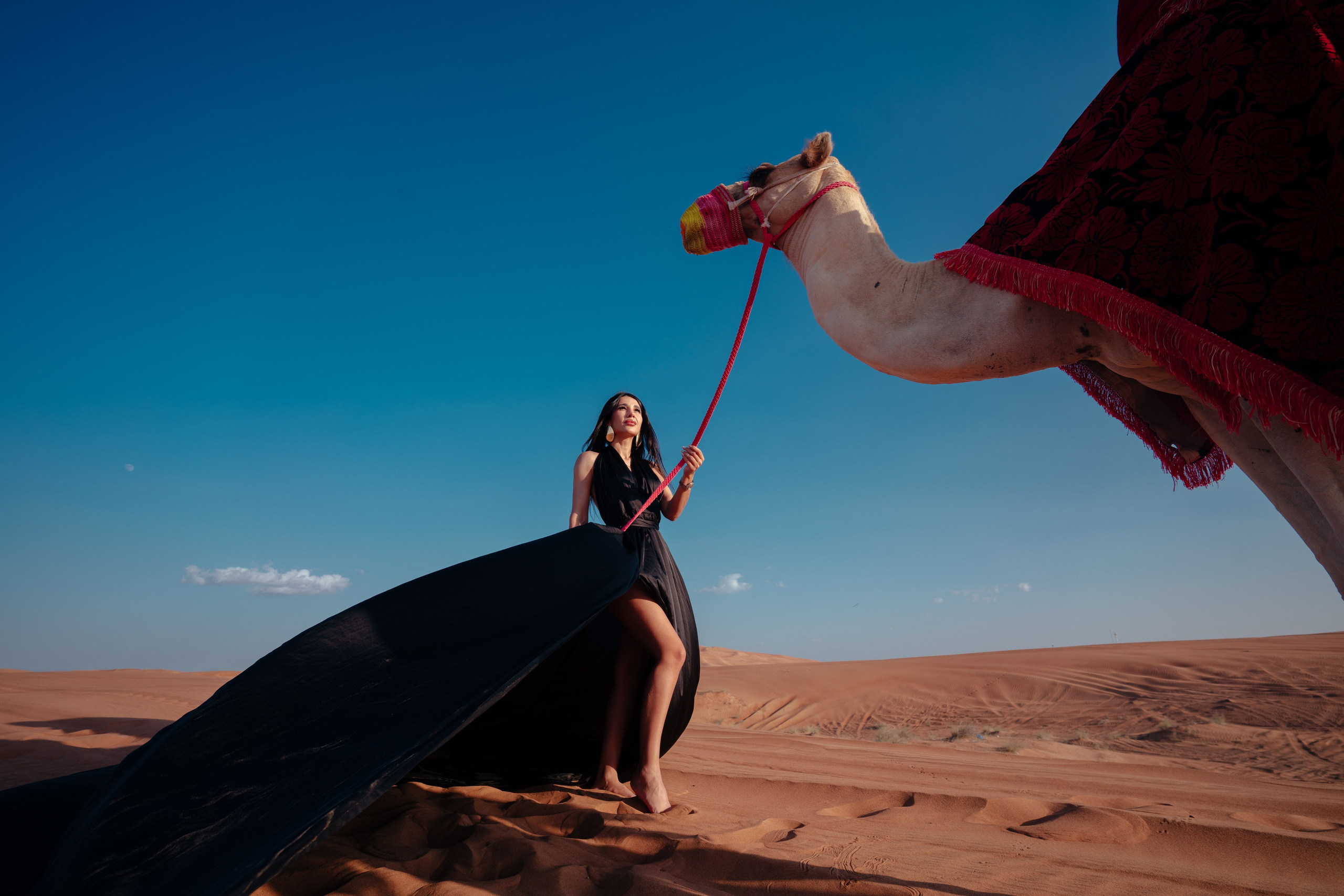 With horses and camels. Photographer in Dubai | Dmitriy Gromov — Photoshoots, Events & Luxury Photography
