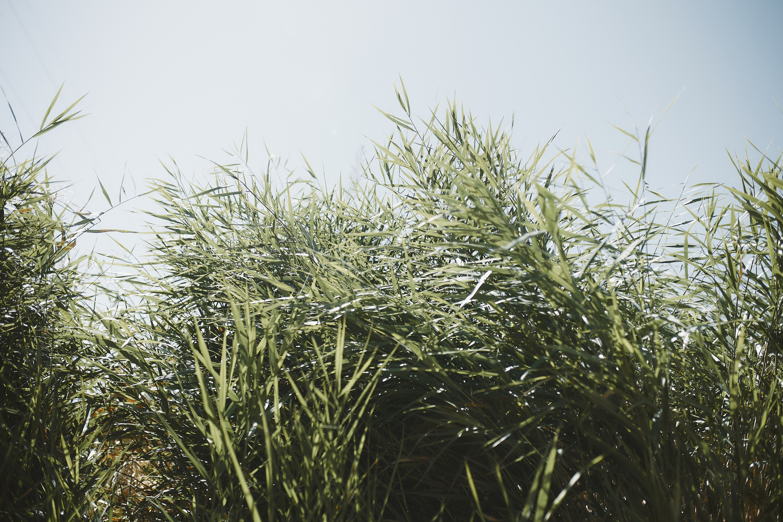 Эржан и Жаныл. Валерия Вартанова. Фотограф