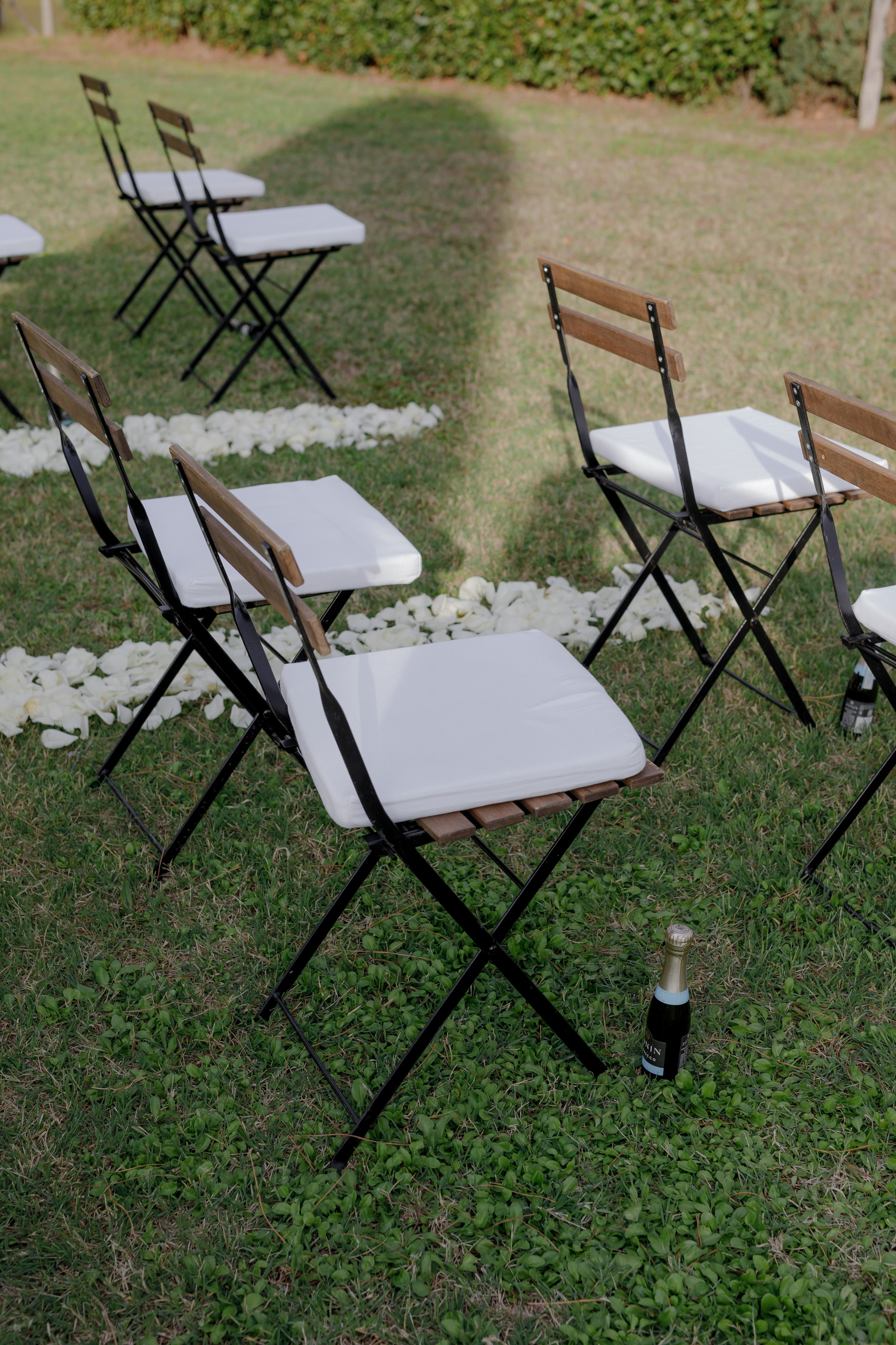 Dom&Ally. Весільний фотограф Вікторія Саврук