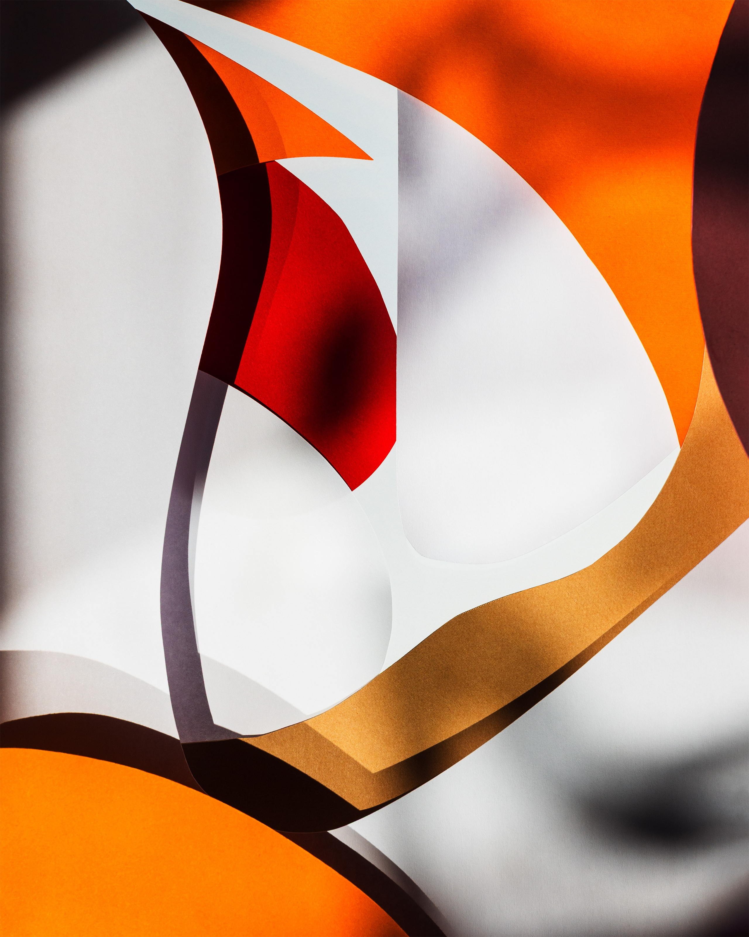 Chroma. Marina Tsaregorodtseva Fine Art photographer, London