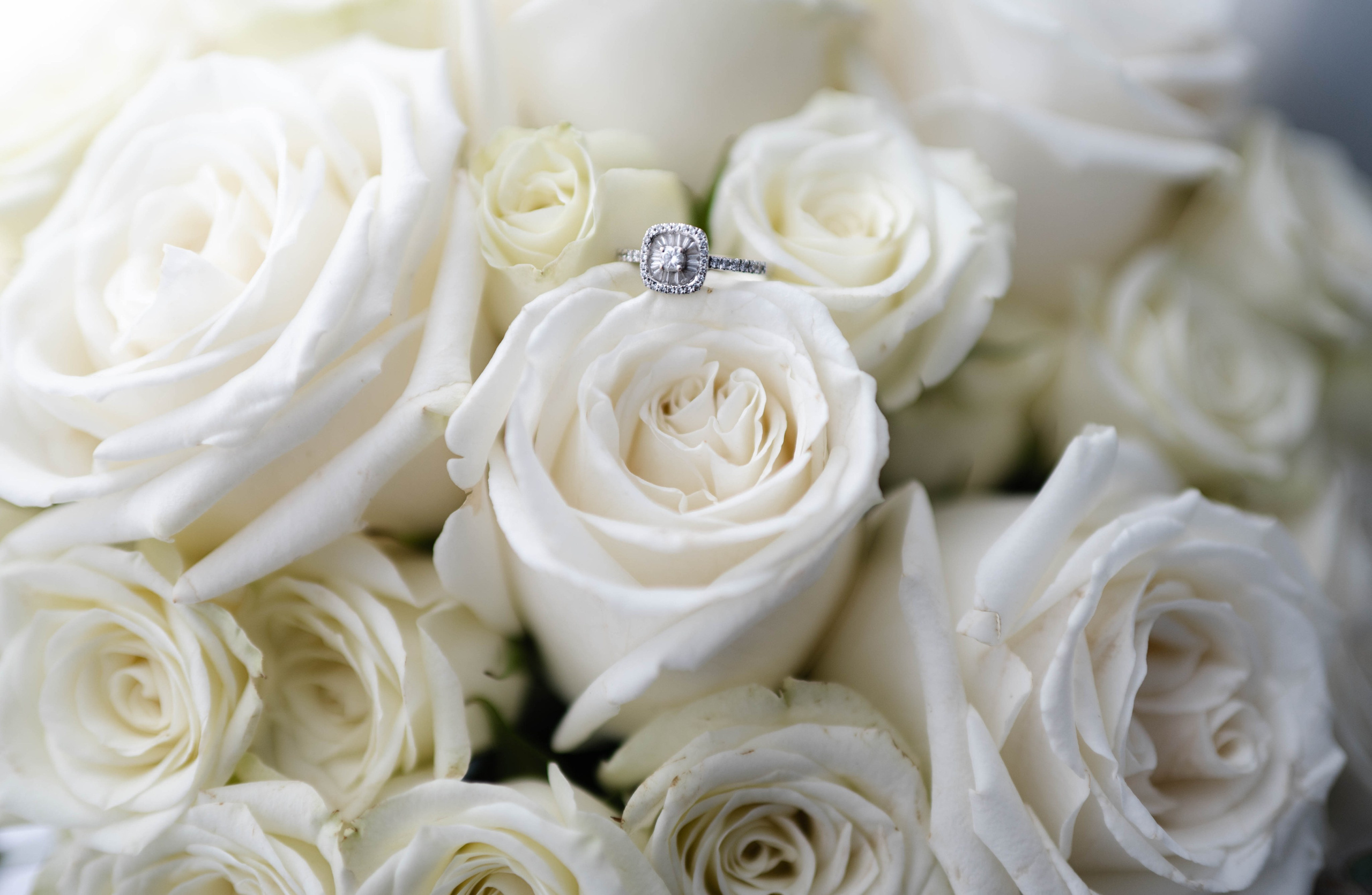 Bianca + Mihai. Alexandra Hanu Photographer