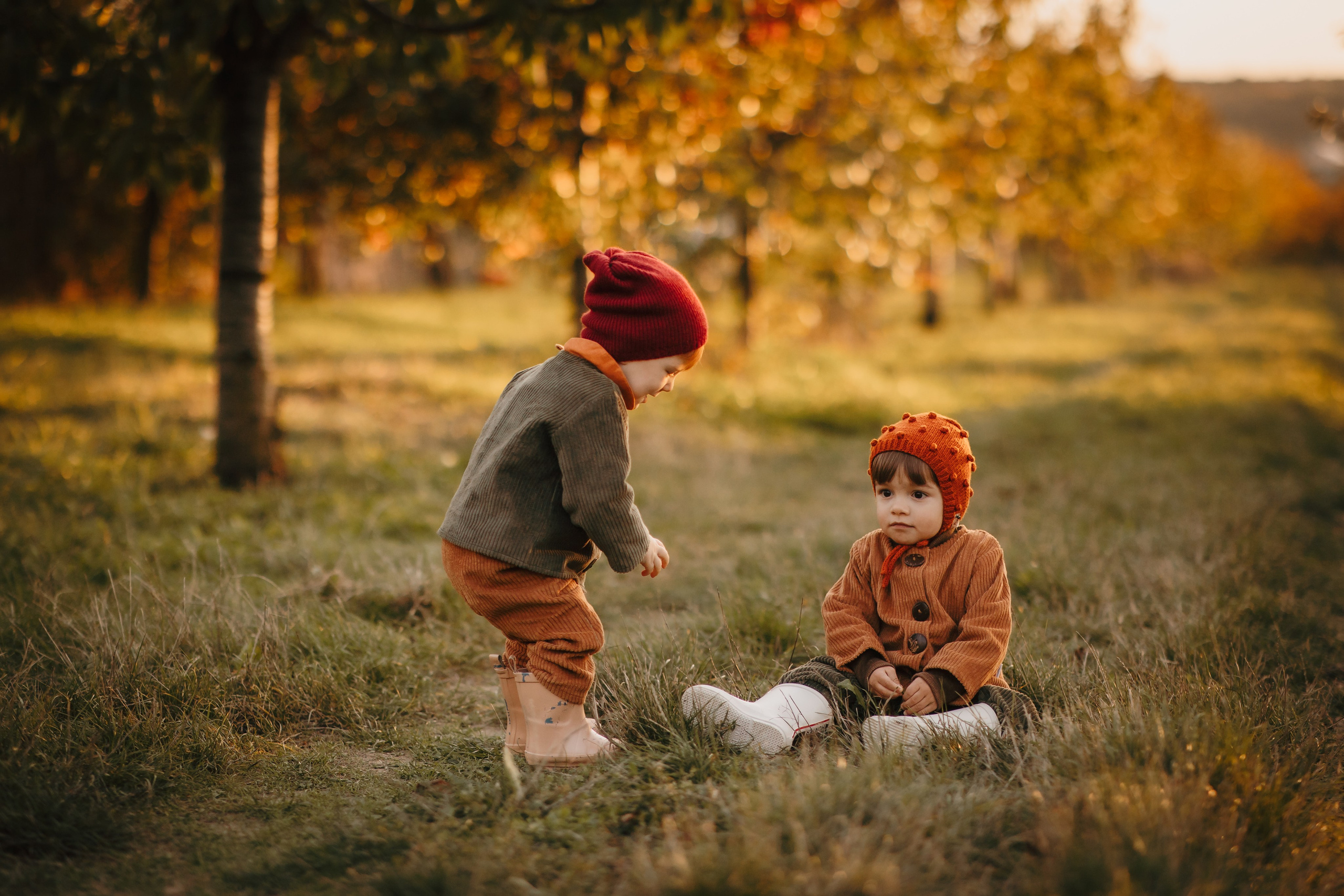 Toamna in livada. Fotograf de eveniment din Buzău | Bogdan