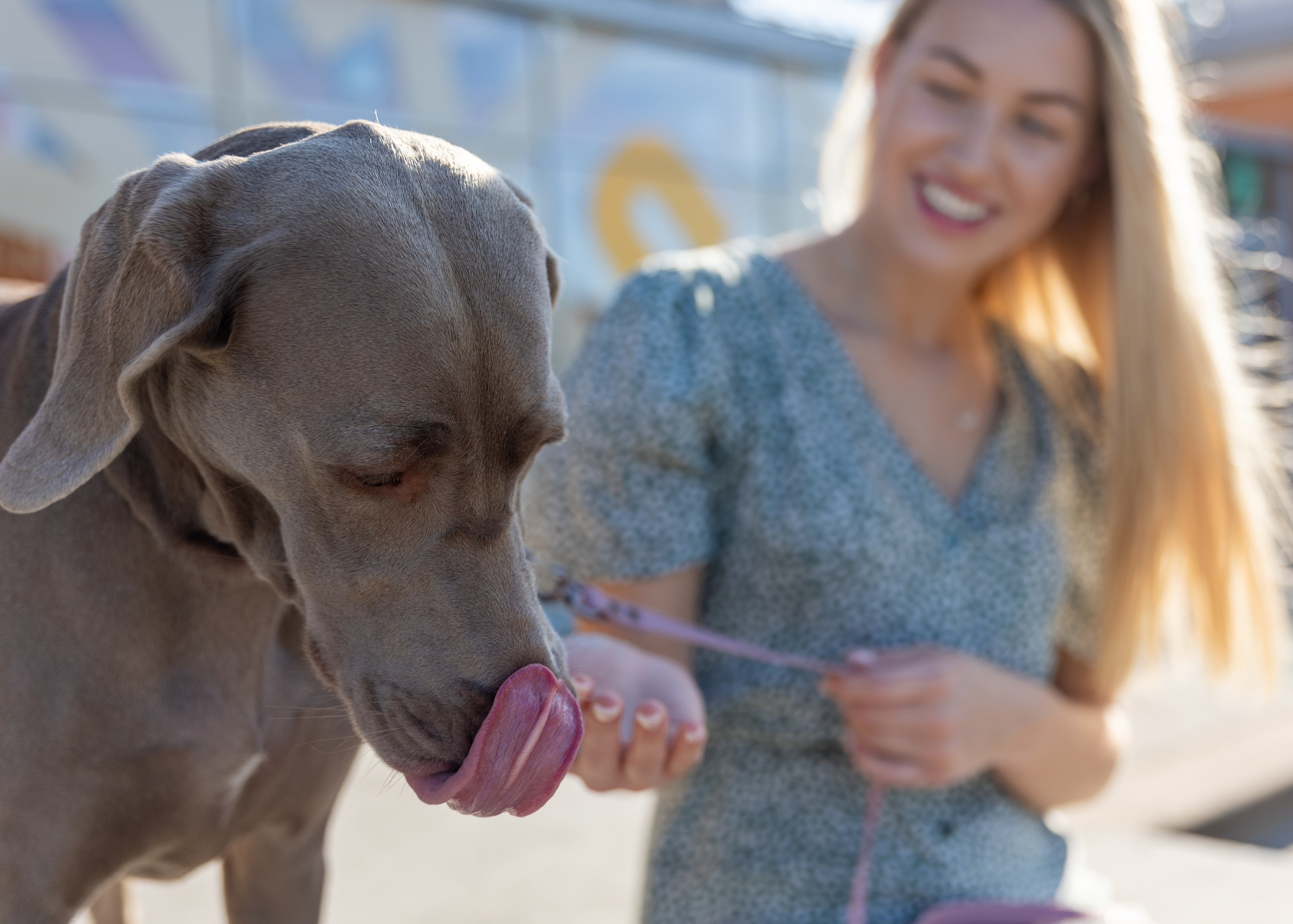 Fotosesija ar Megiju un Greisu. Sajūtu un mirkļu fotogrāfs no Rīgas, Mārtiņš Babris