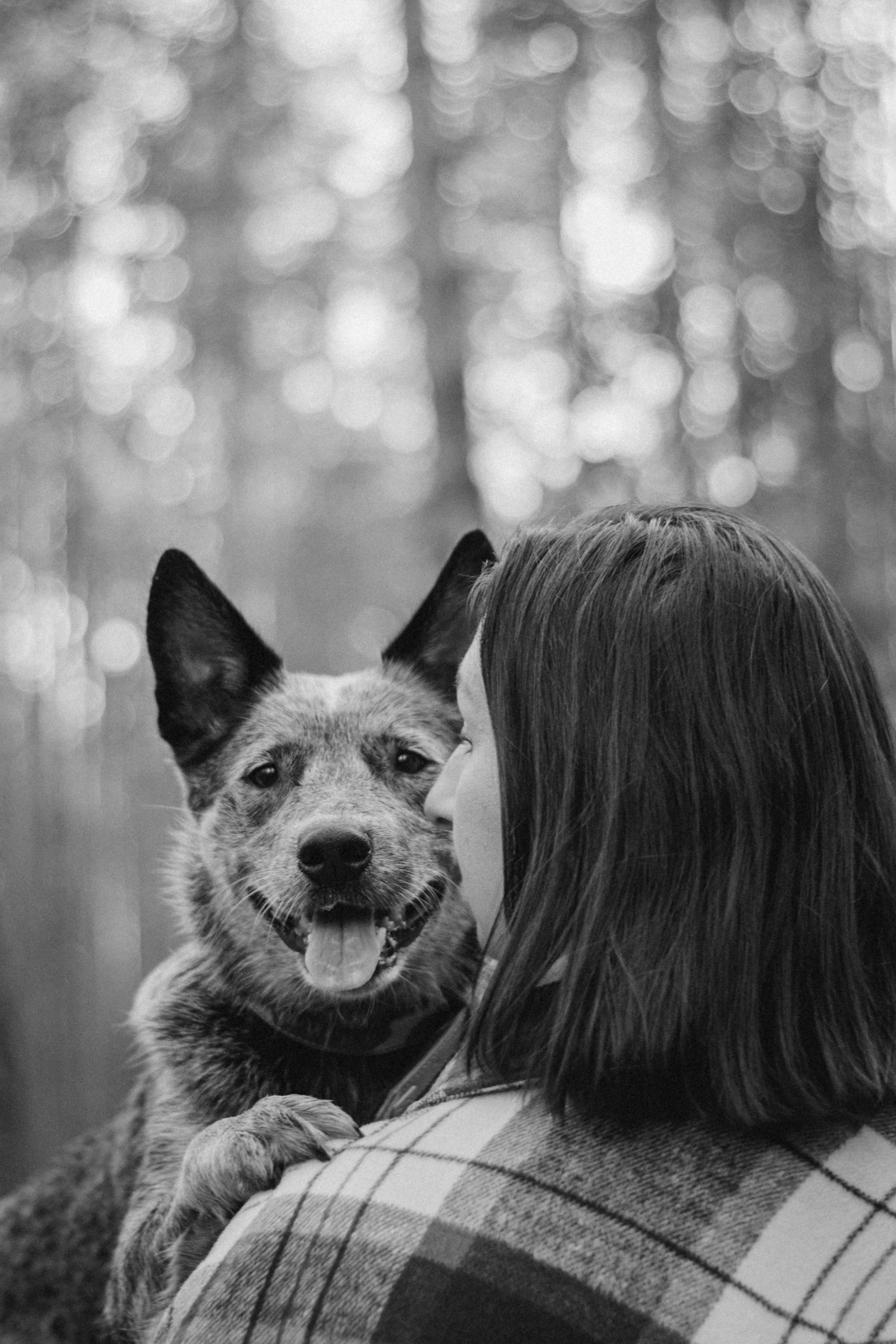 Polina and her Dakota, Blue Heeler. Kat Laisaar — Pet photographer in Tallinn