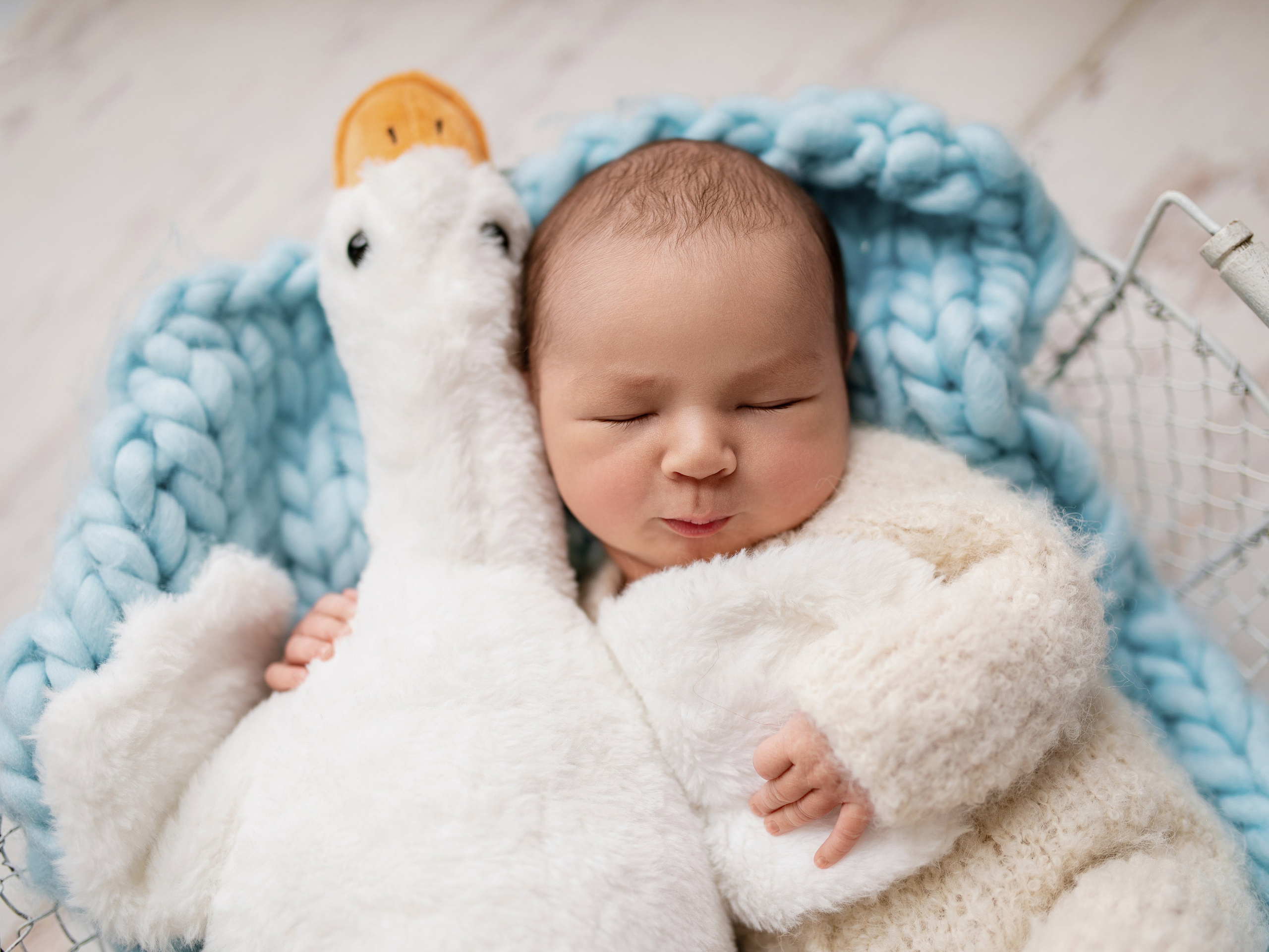 Esu Aleksandra naujagimių ir kudikių fotografė iš Vilniaus