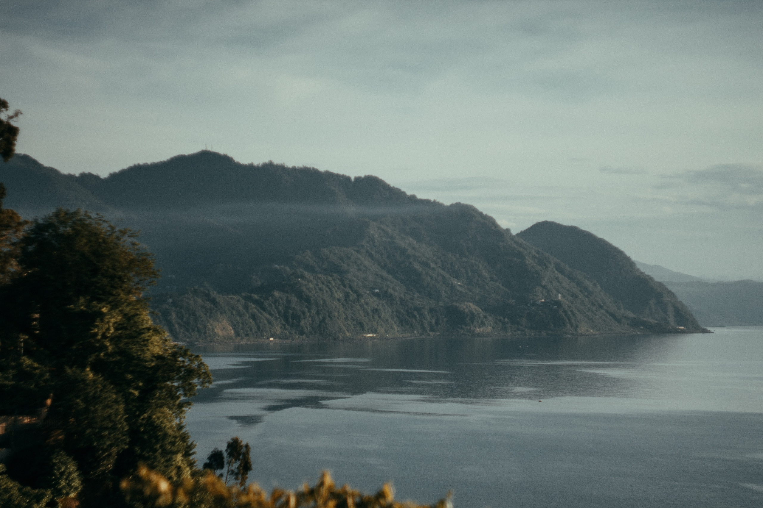 Ульяна. Wedding and portrait photographer in Beograd Ekaterina Makedonskaya