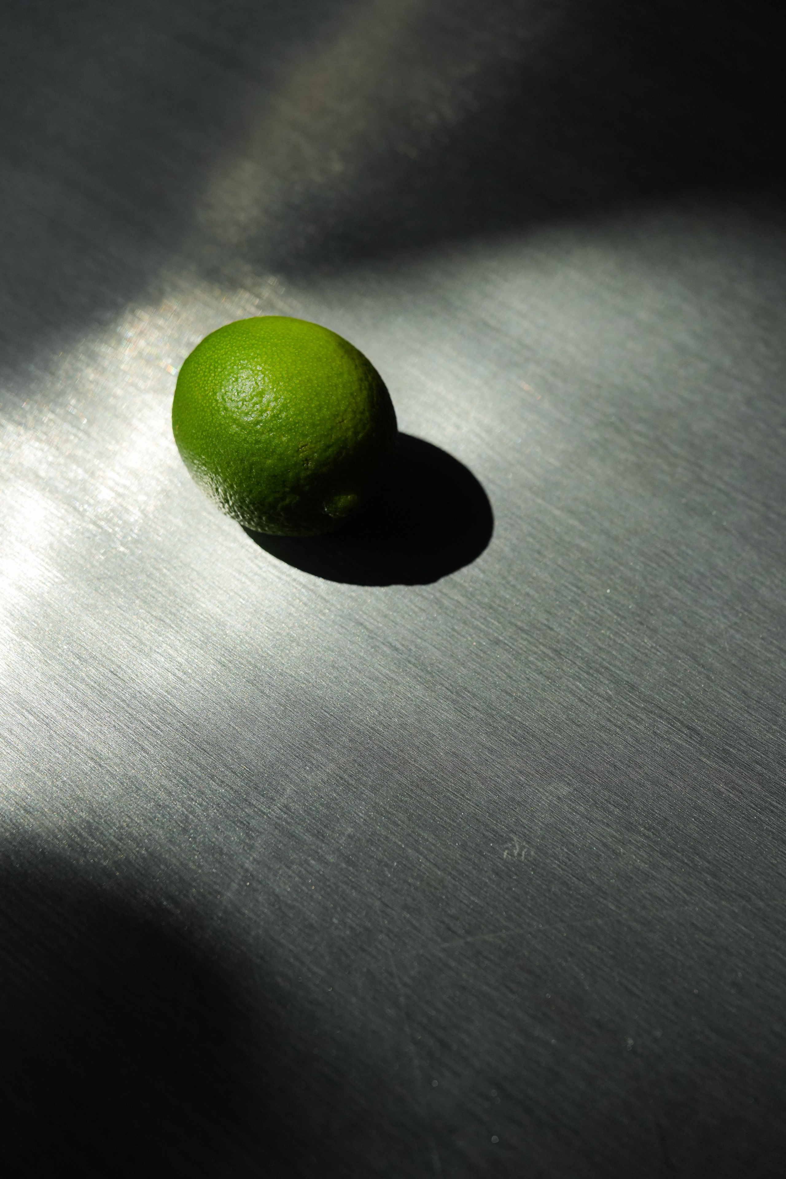 45Cafe. Family and personal photographer in Dubai