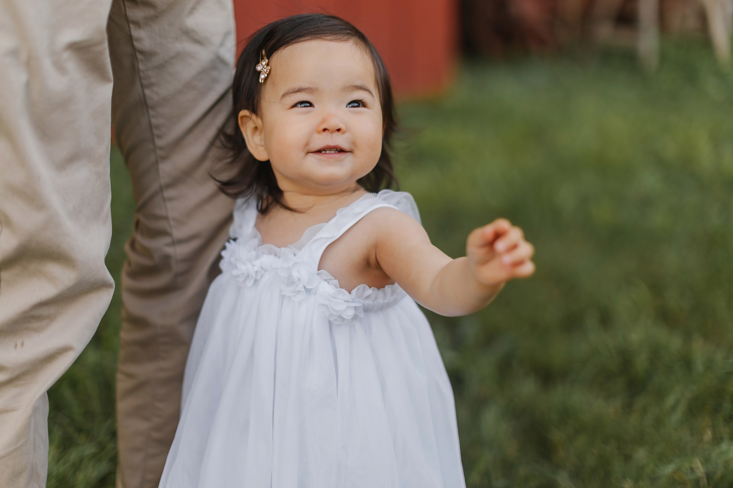 05.25.26 Family Photoshoot. Wedding family event photographer in Chicago Nick Yushevich
