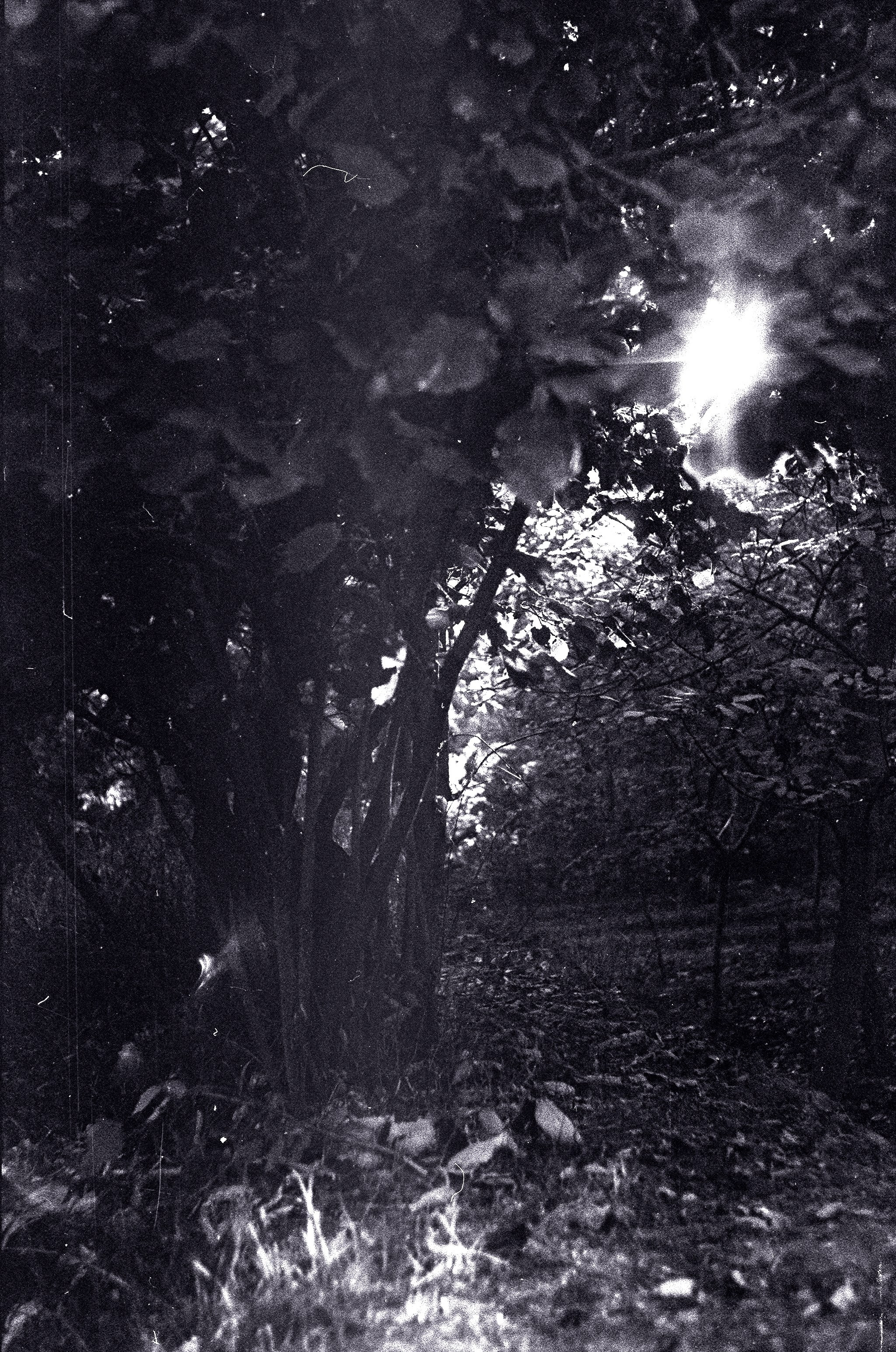 Personal Photography. Arman Milani, Brand-Focused Video Production & Content Creation, Based in Berlin