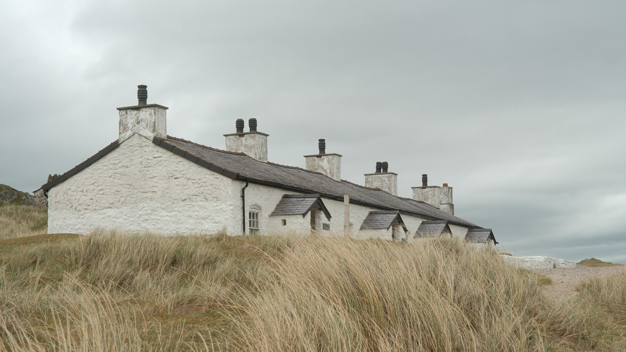 Wales Road Trip 2026. Callum Ecobichon