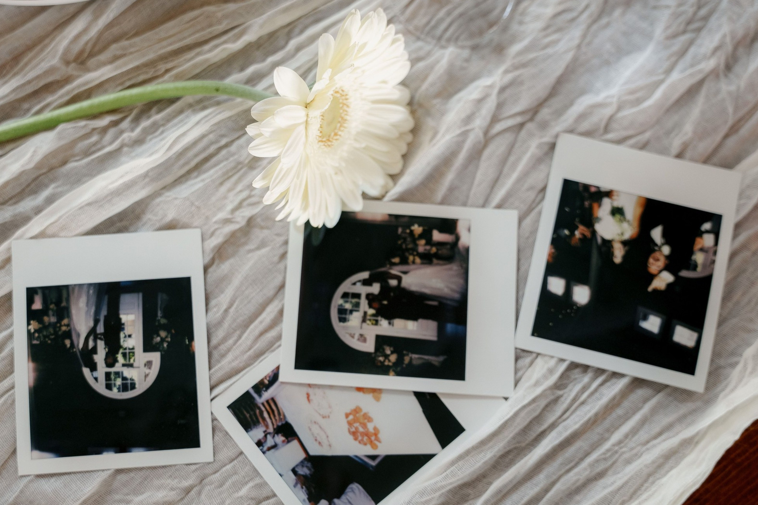 Home (1). Orange County Wedding Photographer & Videographer | Candid & Timeless Wedding Photo + Video | Italiantsev