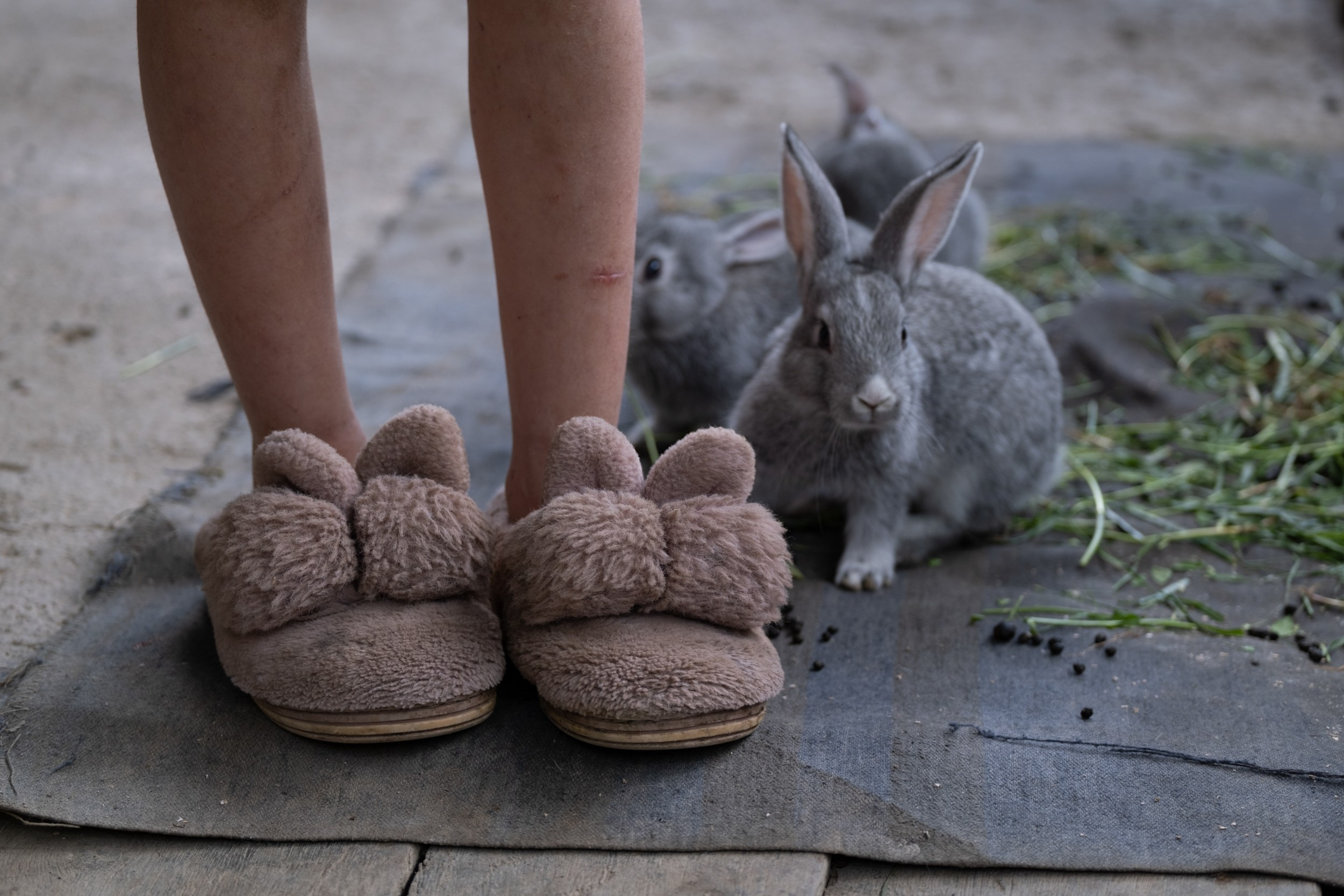 Humans. Areg Balayan — Photographer/Visual Artist