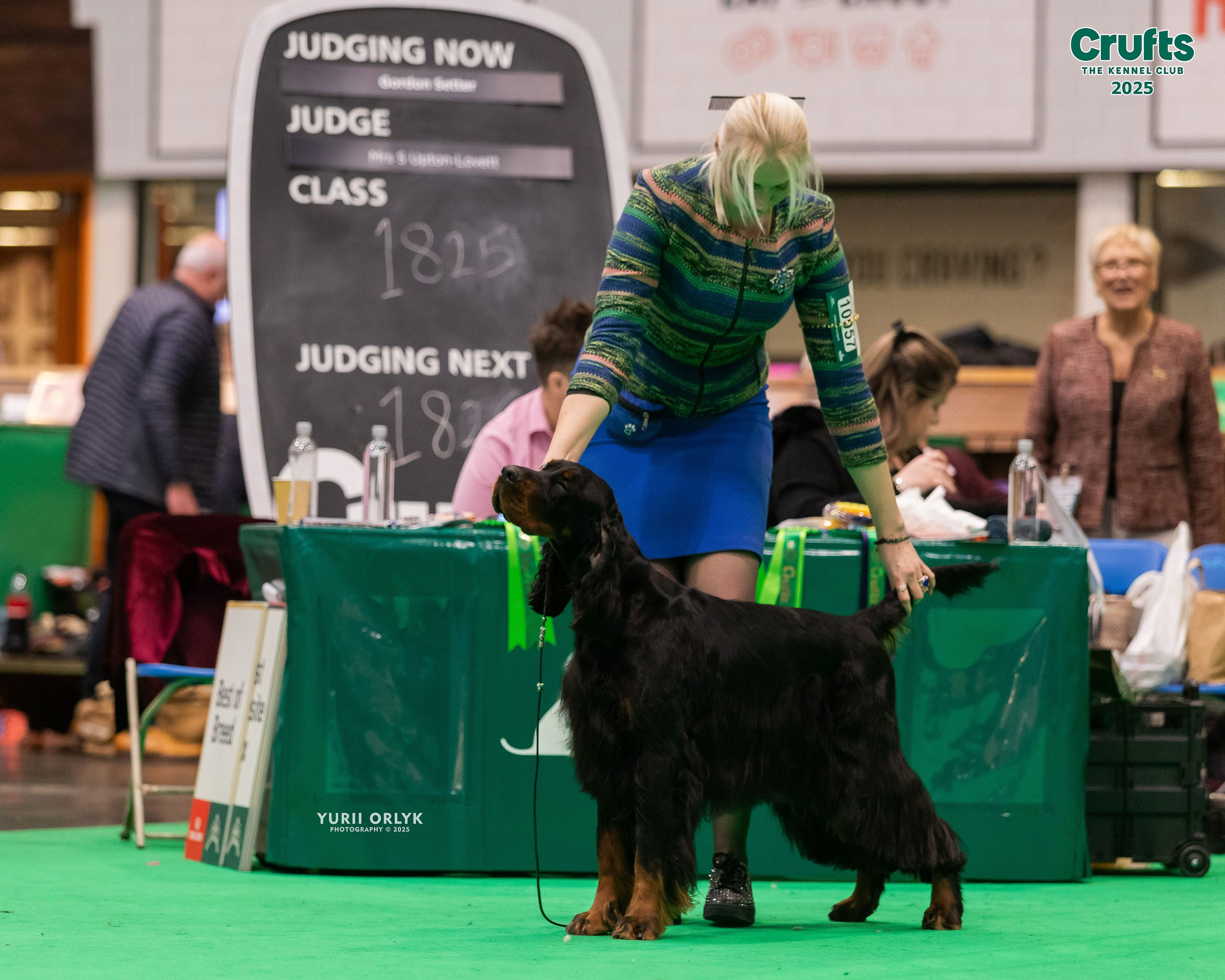 Dog Shows. Yurii Orlyk Photography