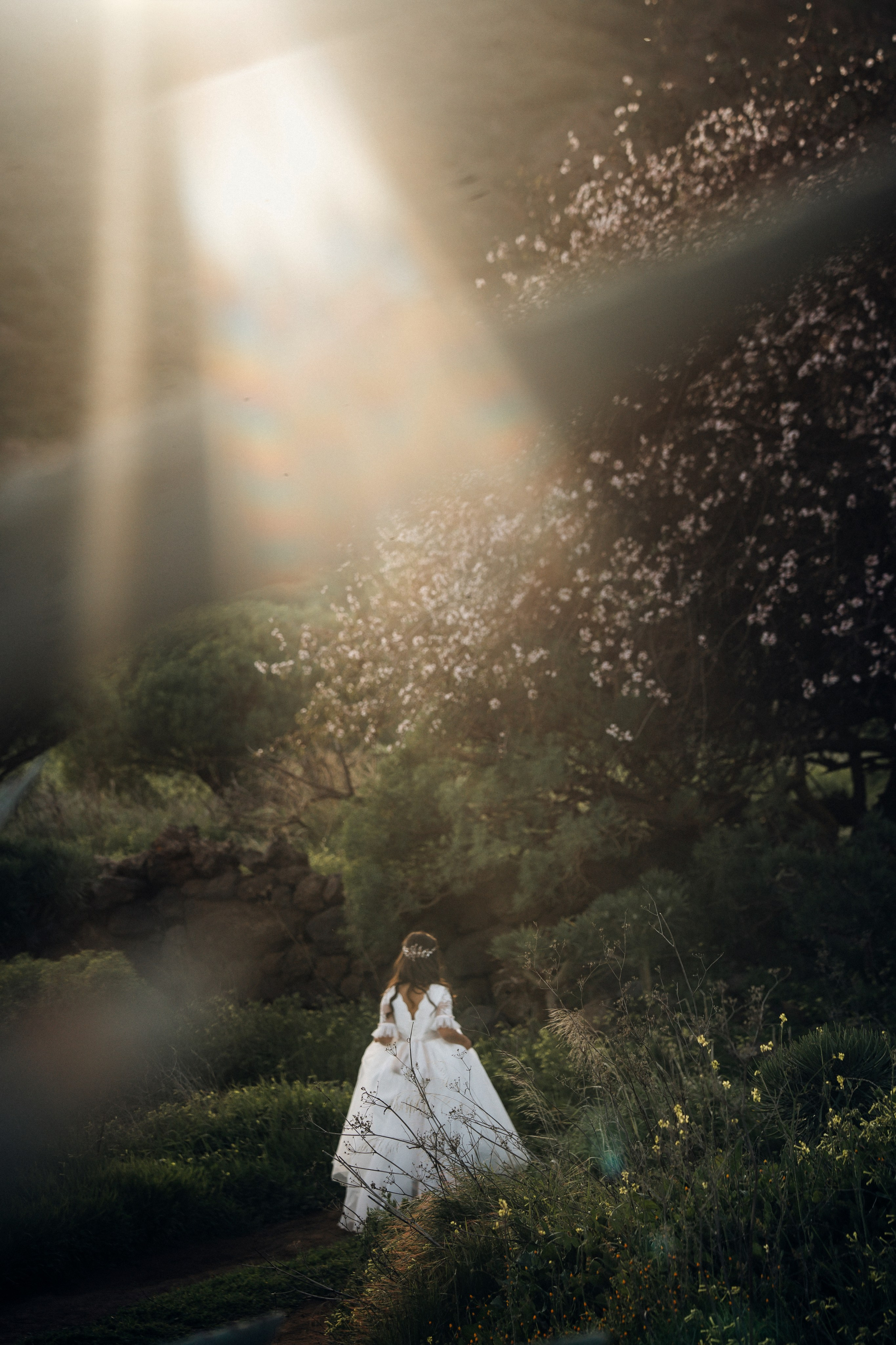 Fotos de comunión en Tenerife – Sesión con almendros en flor. Tania Bonnet | Fotógrafa profesional en Tenerife – Sesiones con vestidos voladores