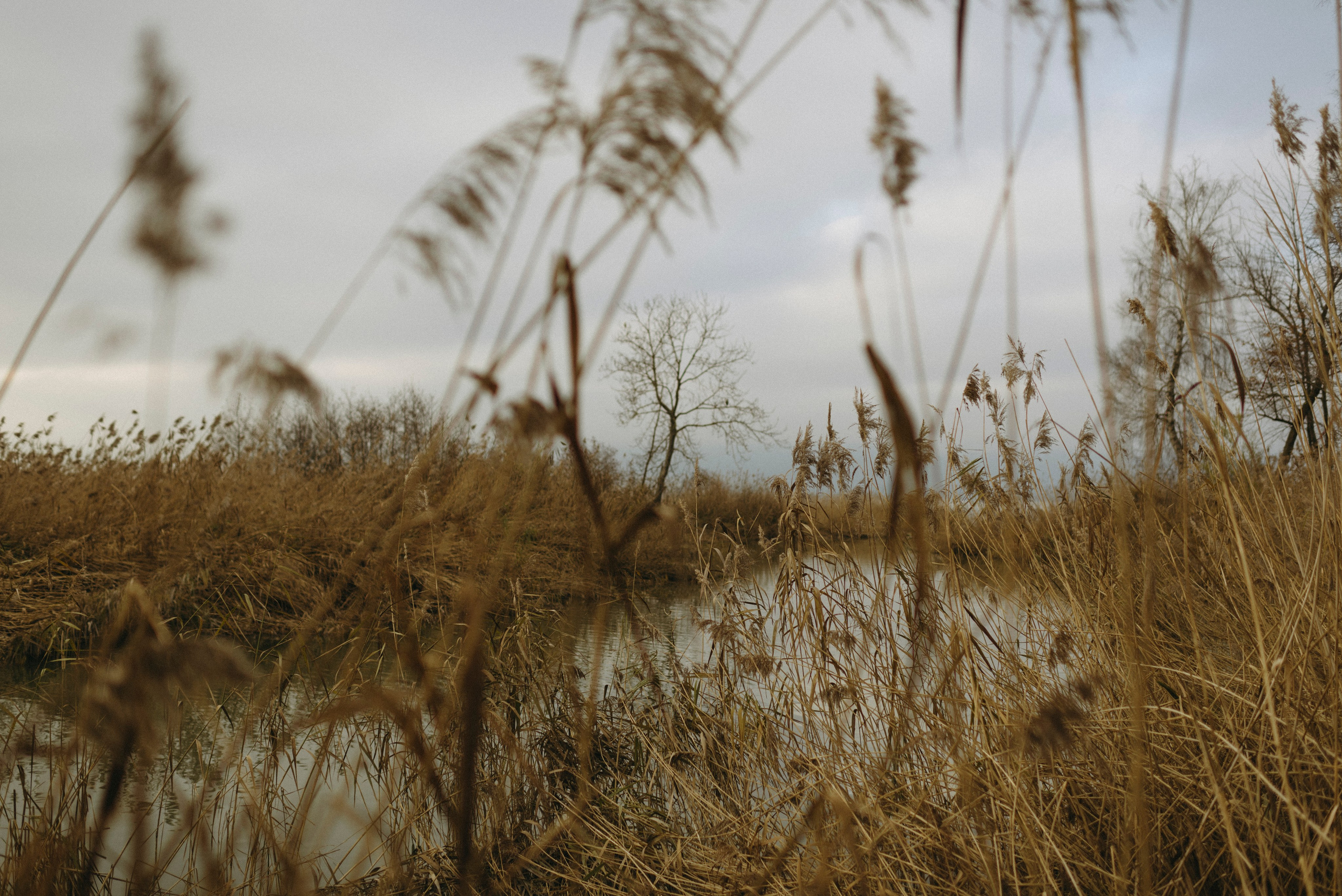 Nastya and Darian. Polina Sobol — family & documentary photographer in Bern. Outdoor & urban photo sessions for families, kids and couples