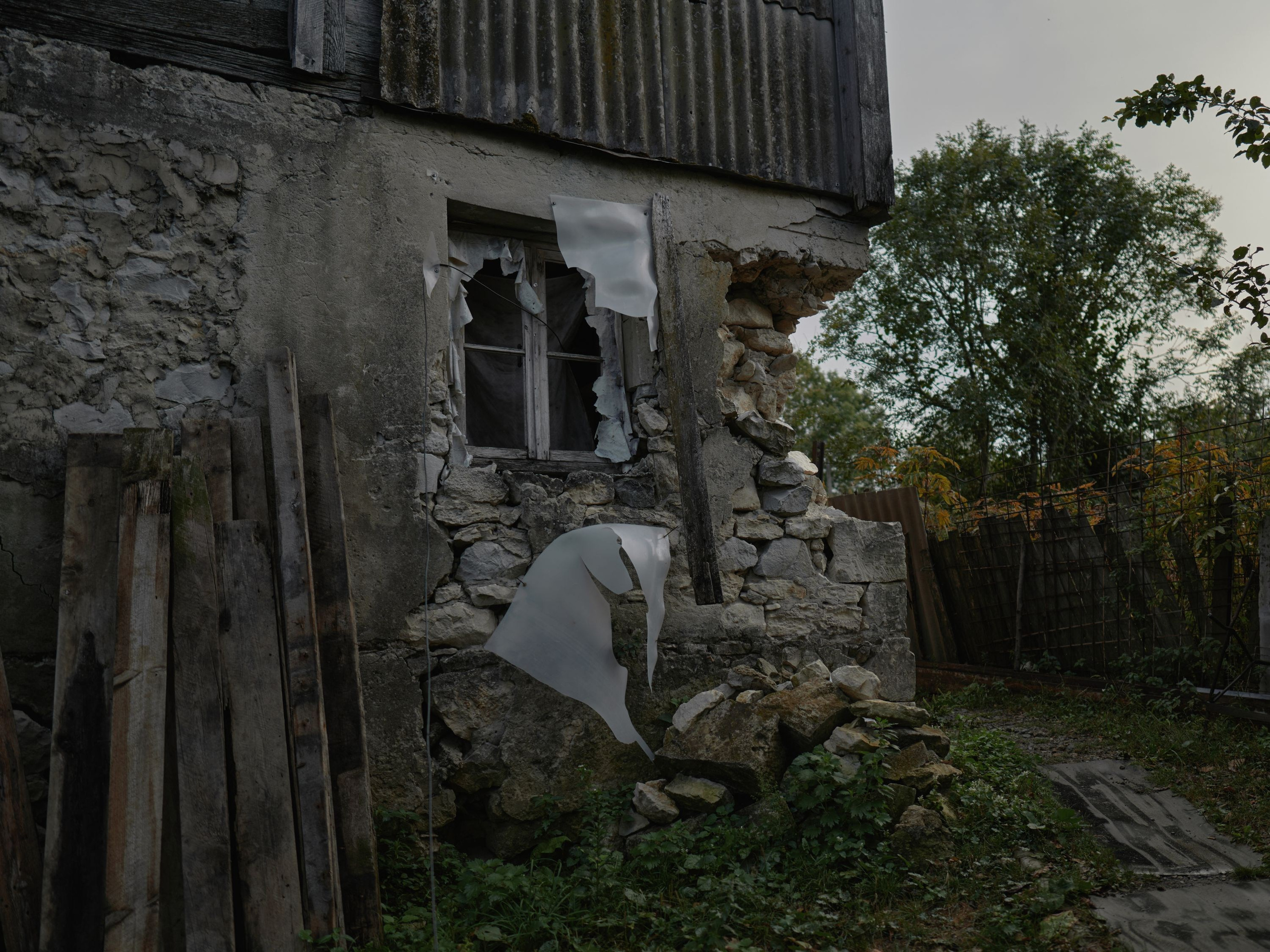 Scars of Shukruti. Egor Borie