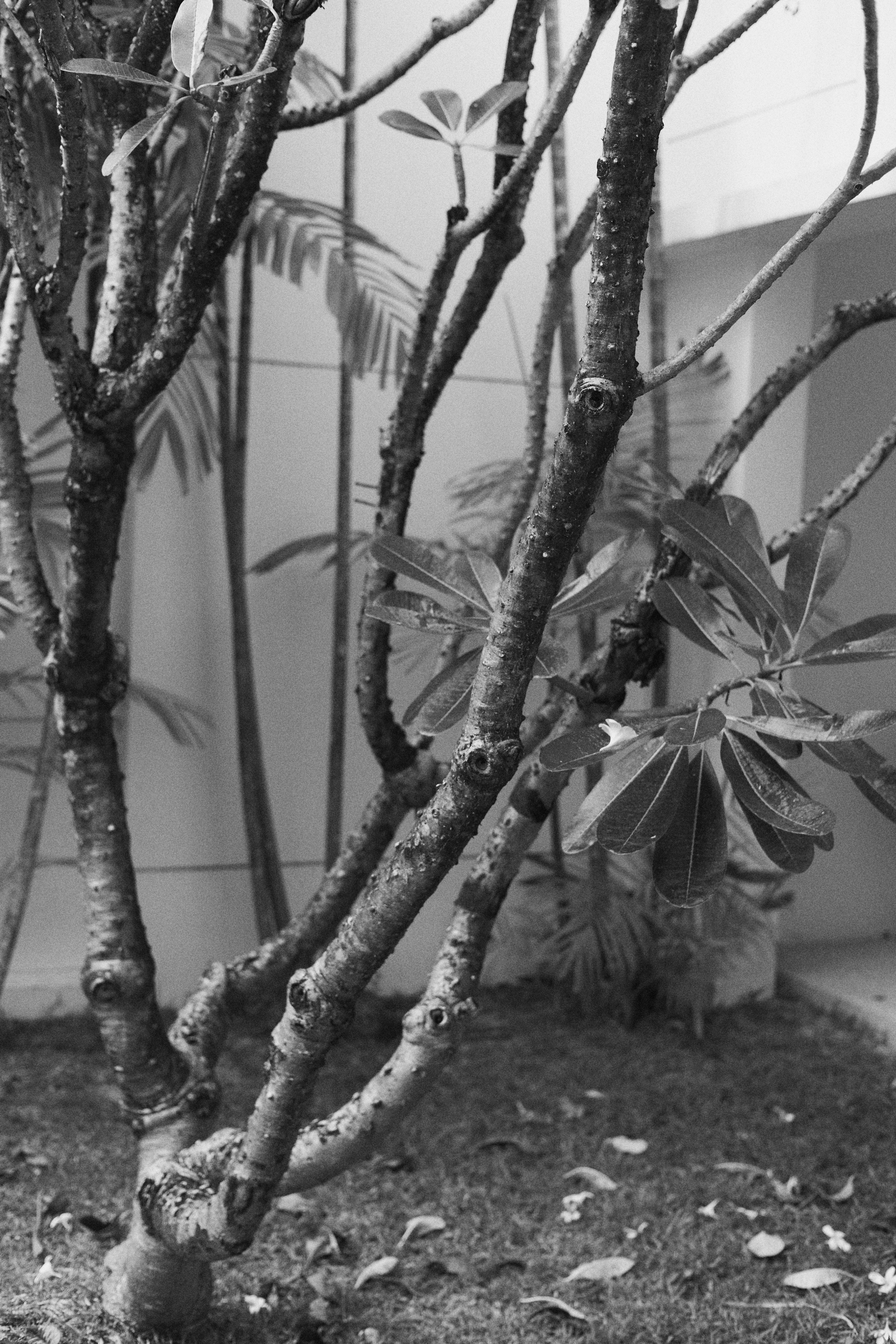 Maria. Maria Mishina Photographer Moscow, Phuket