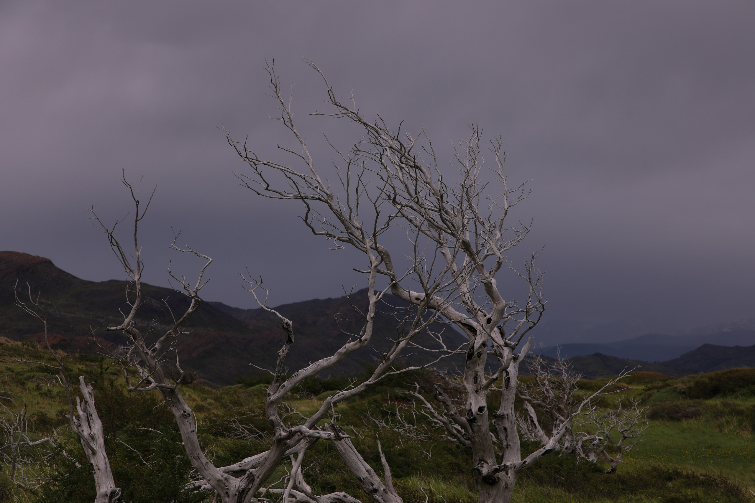 PATAGONIE. Photographe Karen Tatevosian