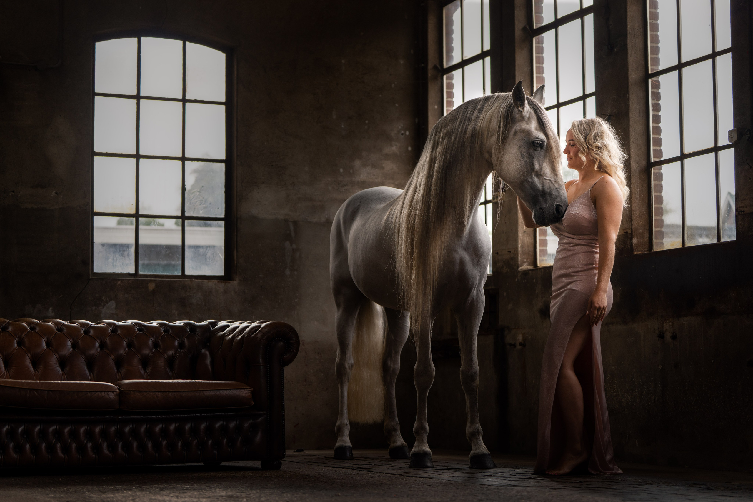 Horse Experience. Sports and portrait photographer in Riga