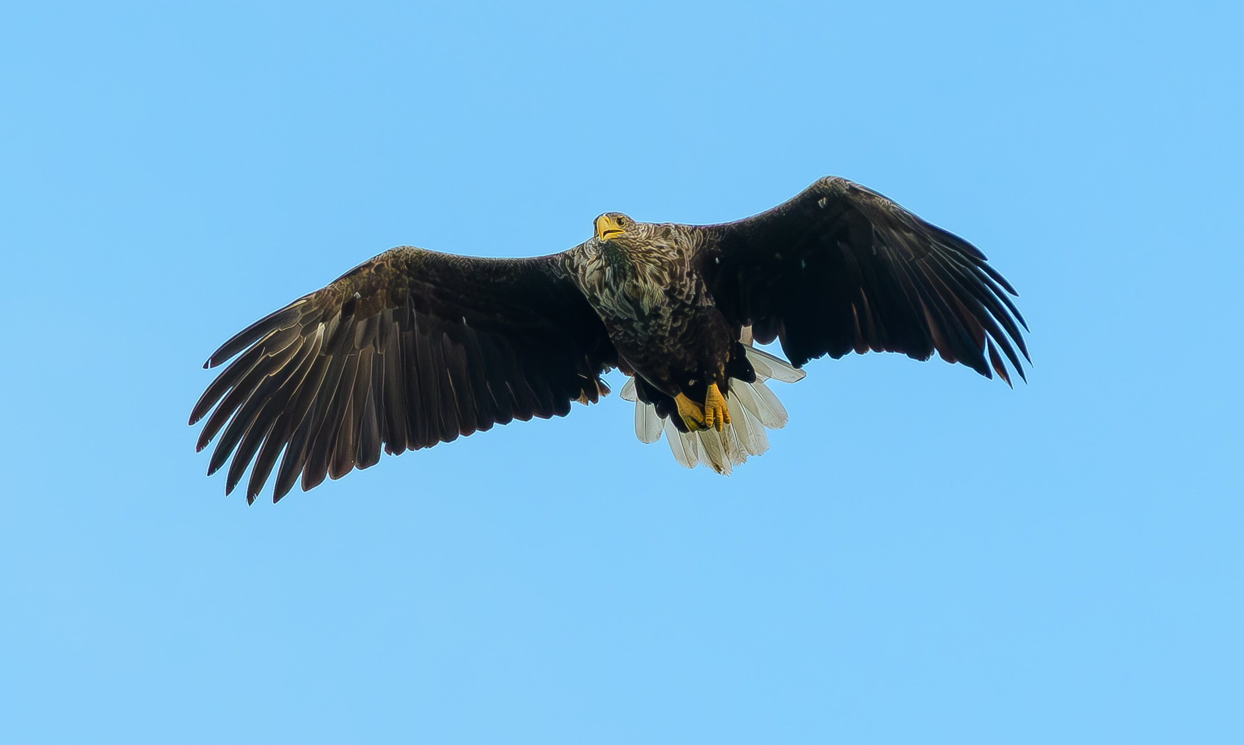 Travel. Klausenburg Photography