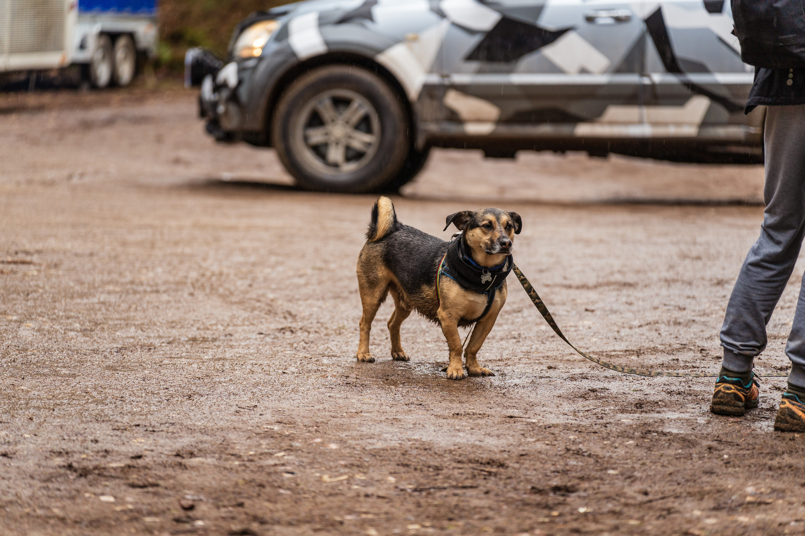 PTuras — Velnio keliais 2022 Aukštadvaris. OnePIXEL