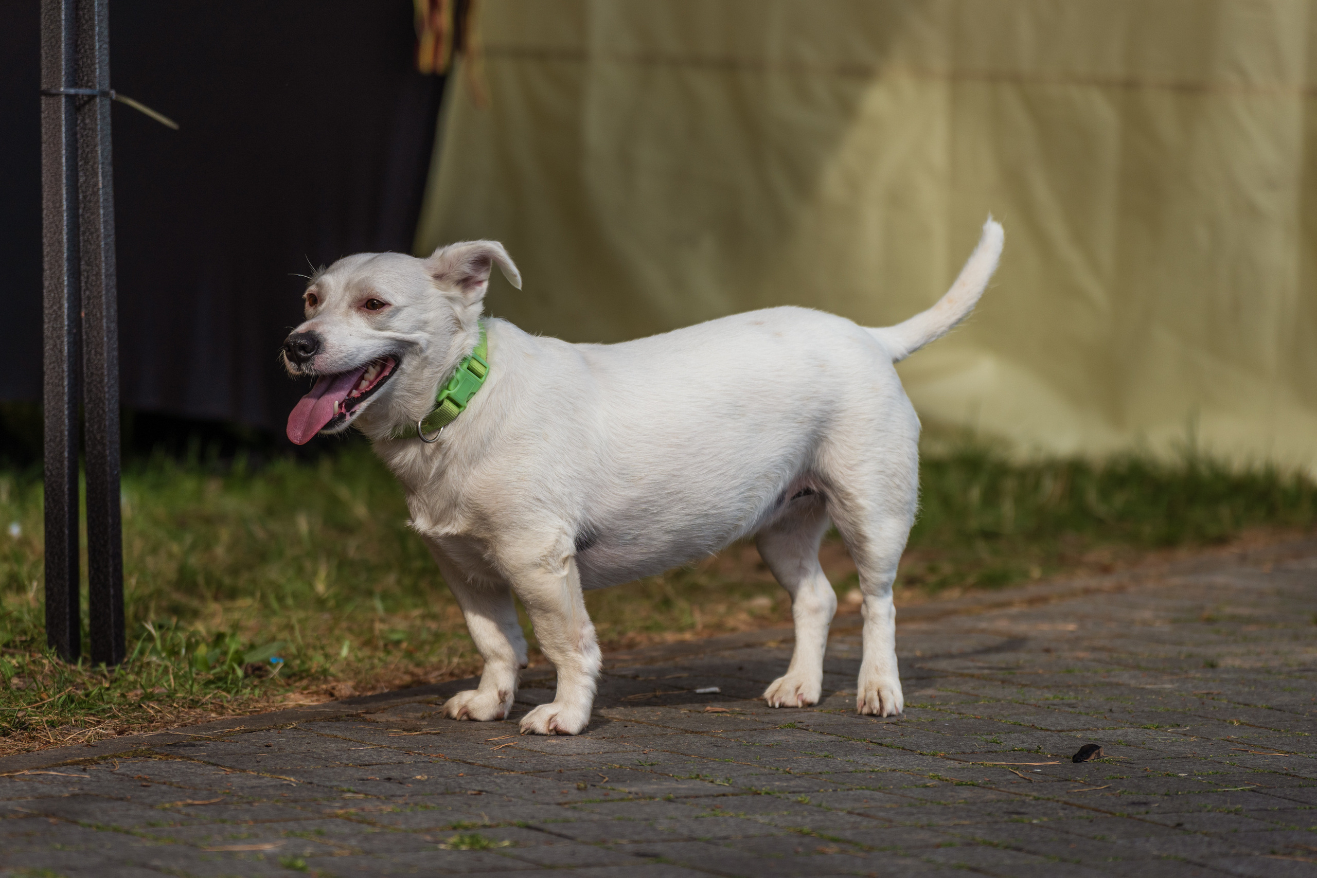 PTuras — Birštono takais. OnePIXEL