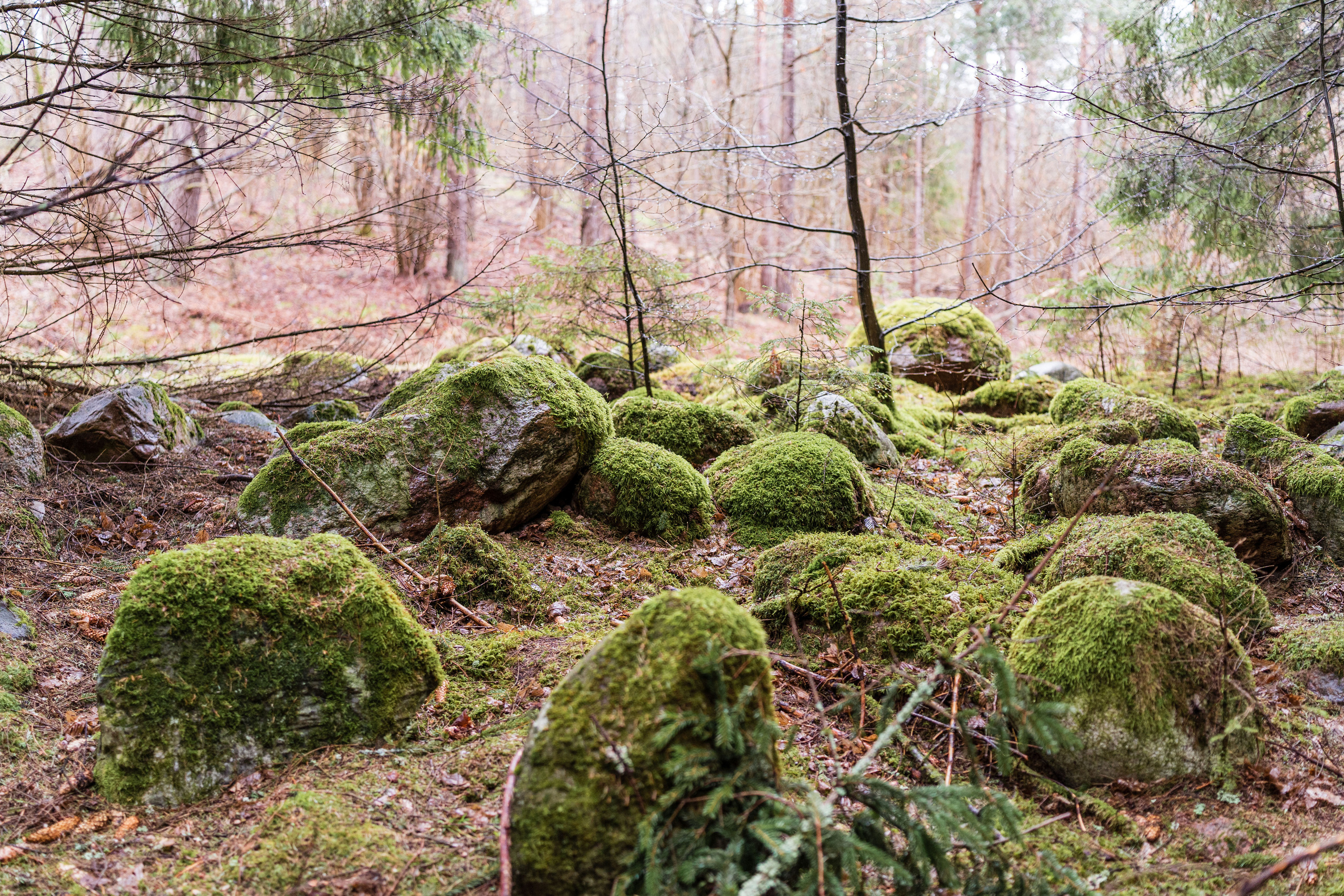 PTuras — Velnio keliais 2022 Aukštadvaris. OnePIXEL