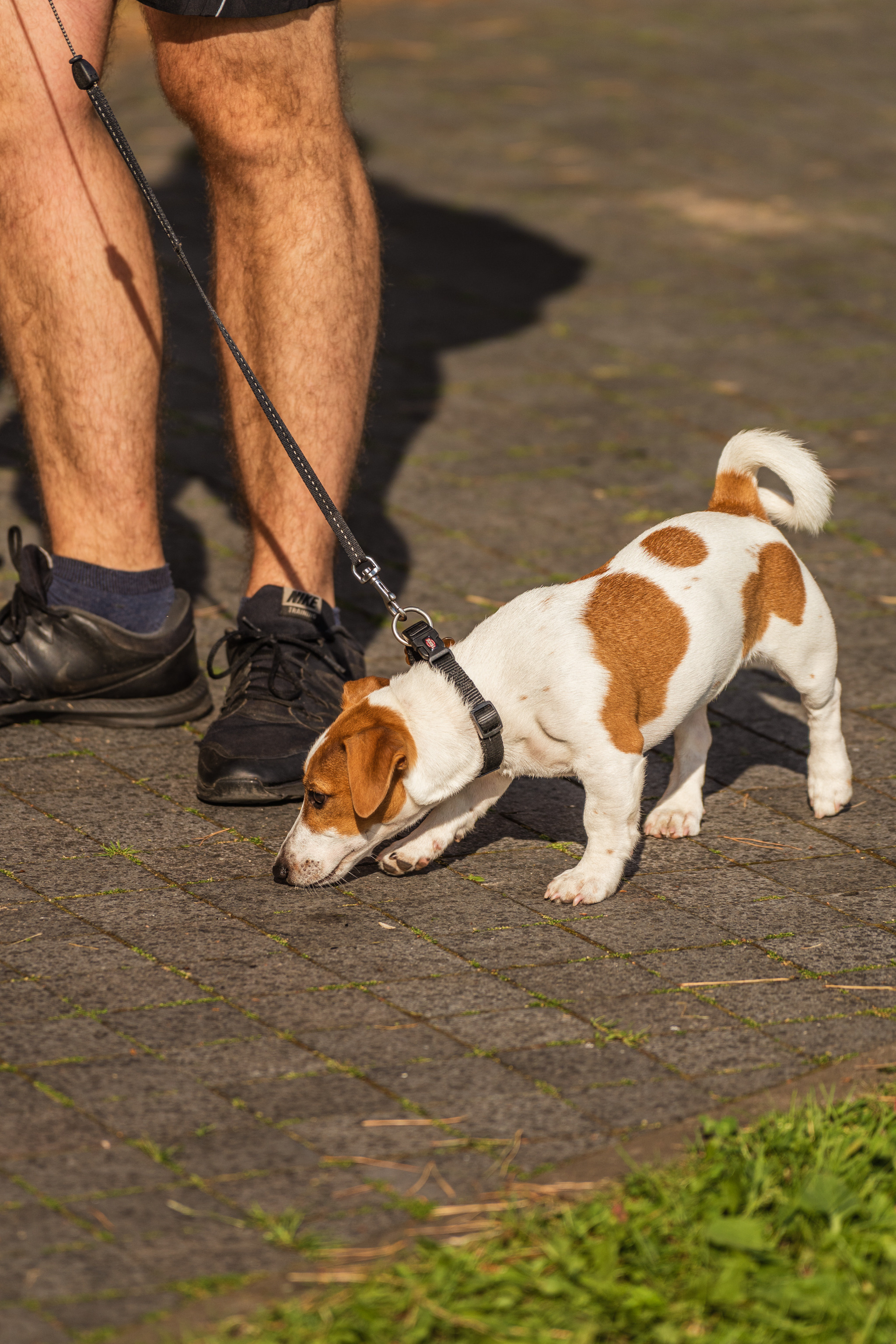 PTuras — Birštono takais. OnePIXEL