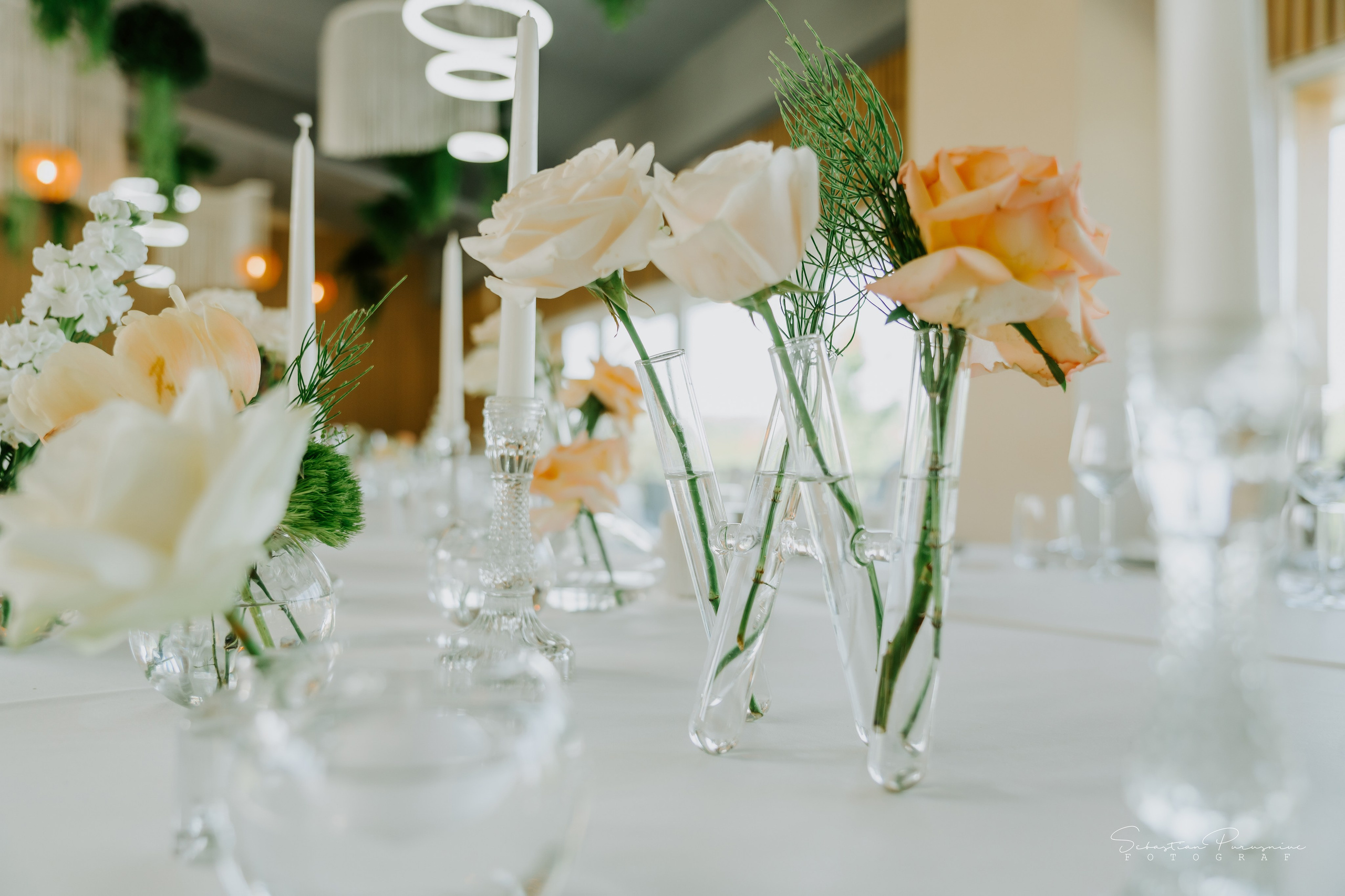 Adelina & Angel. Sebastian Purusniuc Fotograf - Iasi