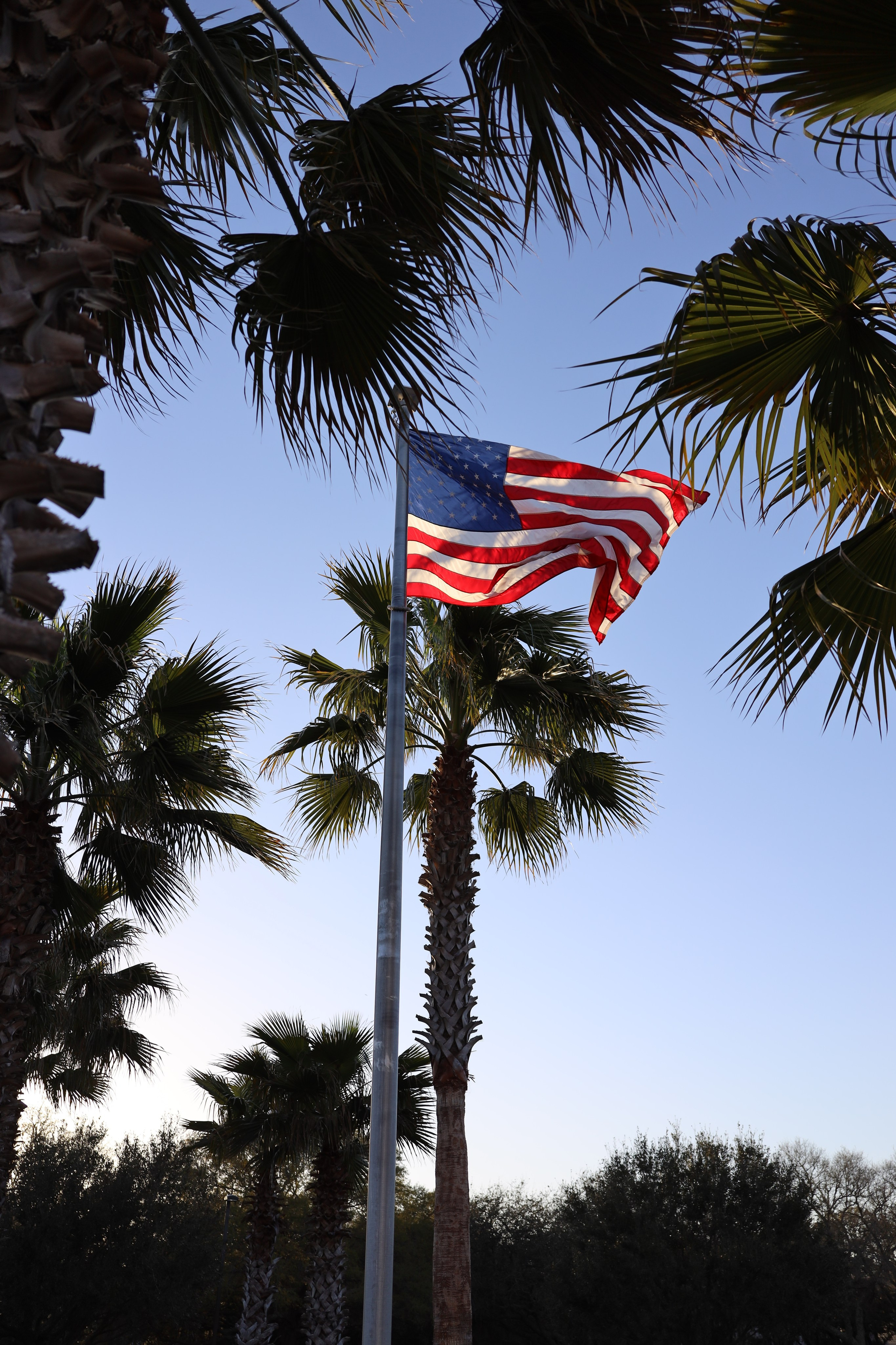 Colour. Sonny Photos