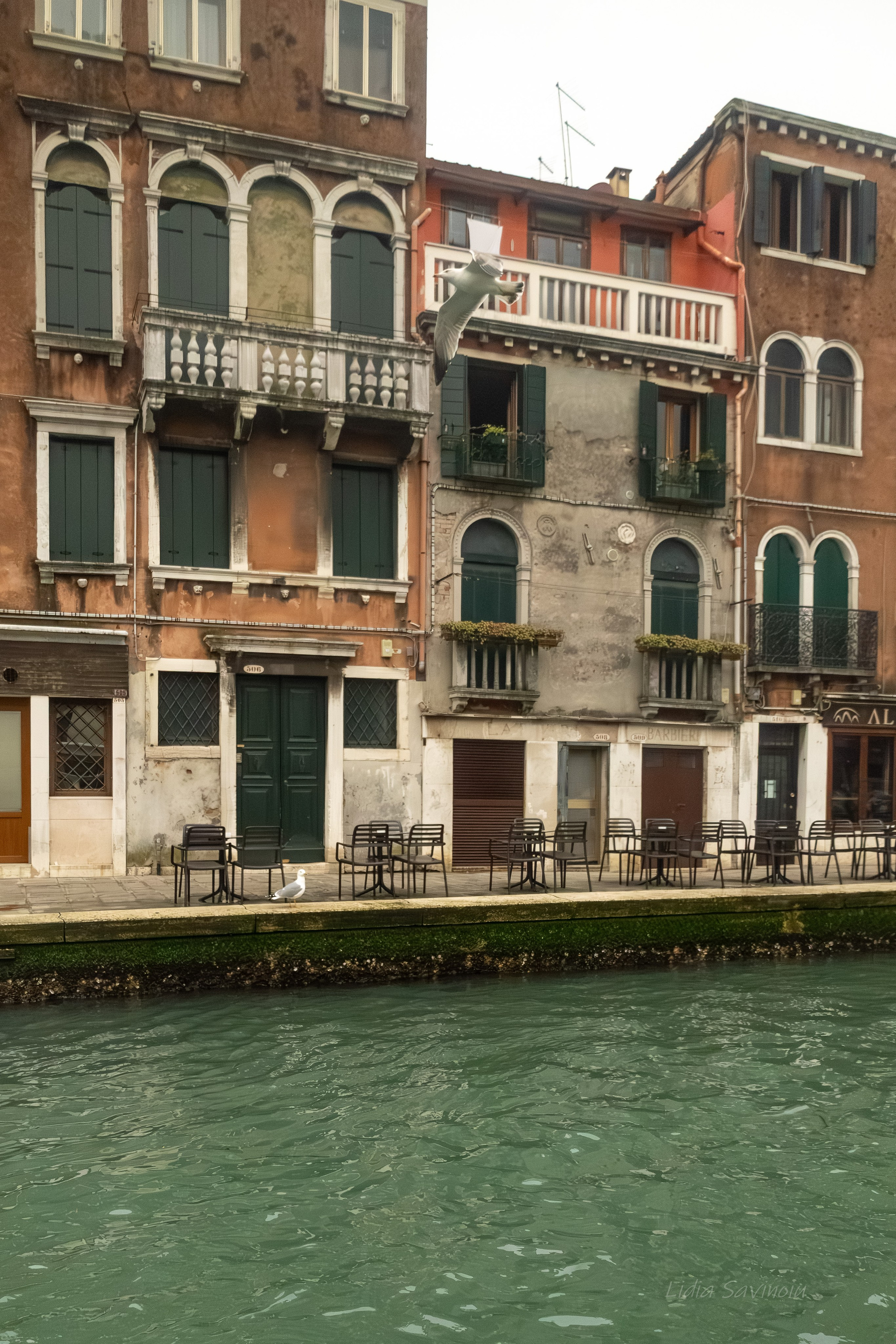 Veneția. Fotograf. Lucrez cu oameni, produse și spații. Portret și fotografie creativă. Bacău, România. Lidia Savinoiu