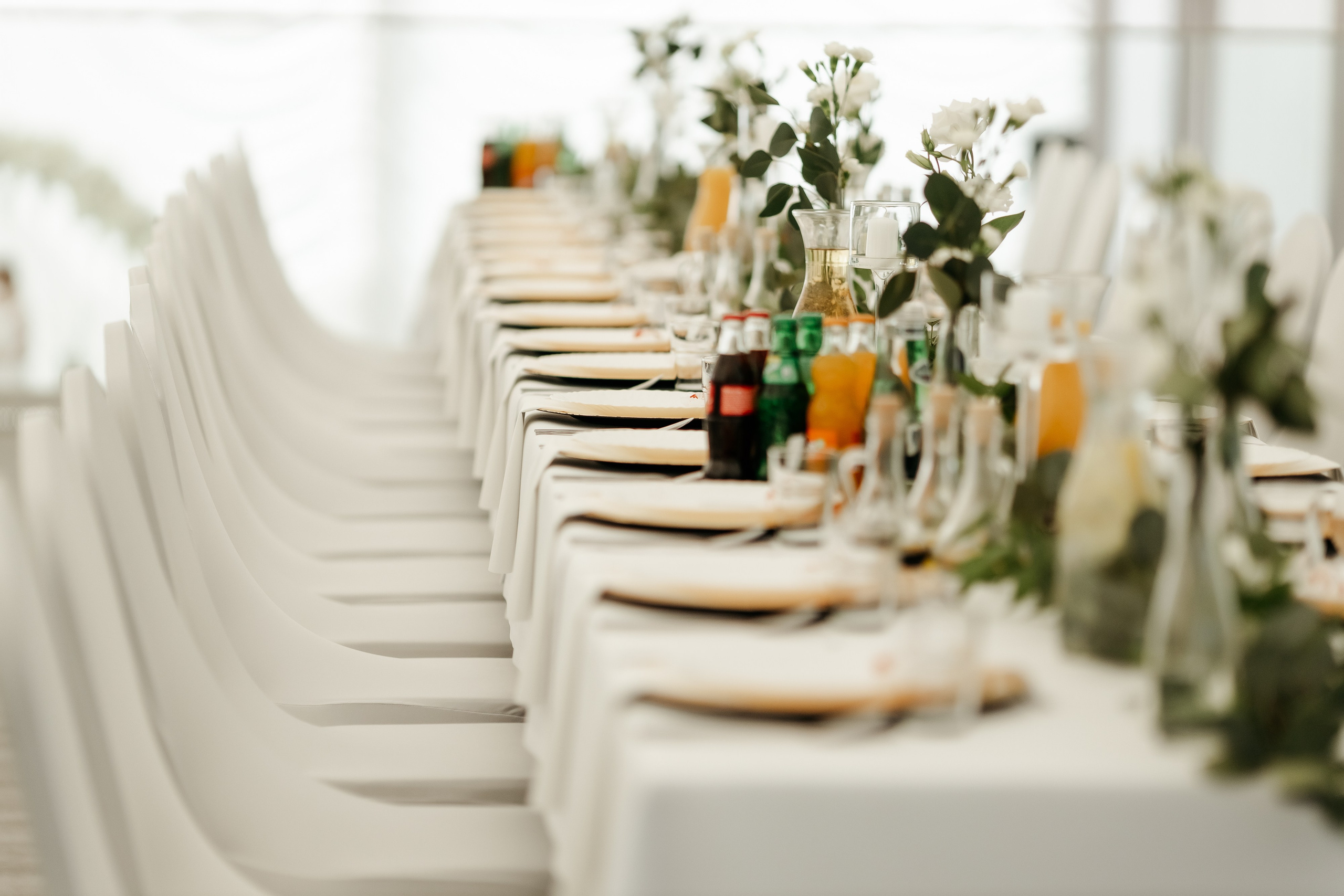 Аліна та Давид. Ірина Терещук