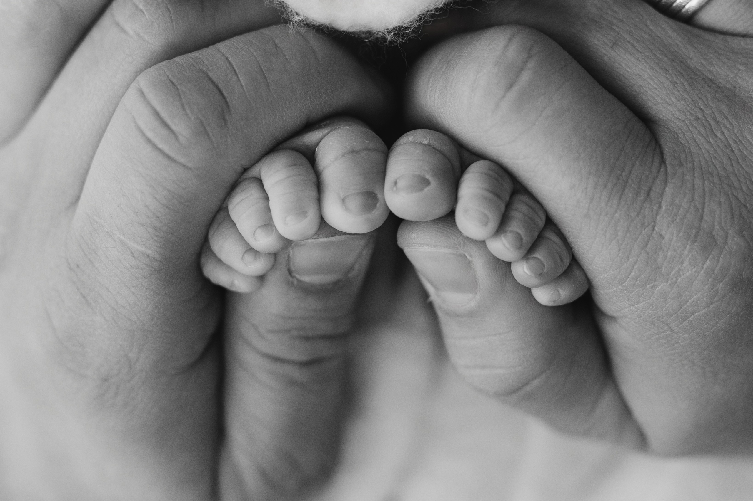 Corsi di fotografia