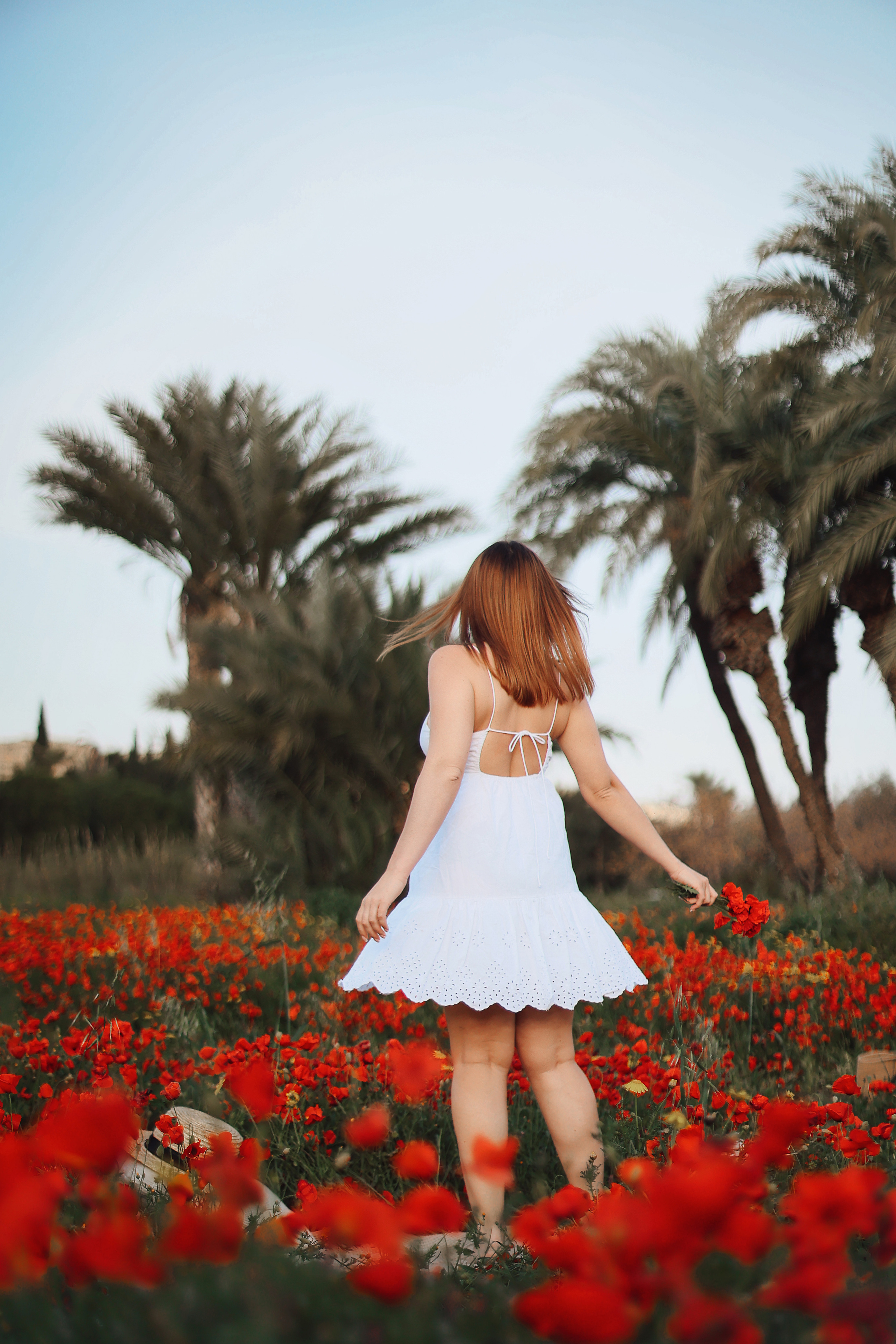 Фотосессия в маках. Апрель, 2023,. Kipriotka. Ваш фотограф на Кипре (Айя-Напа, Протарас)