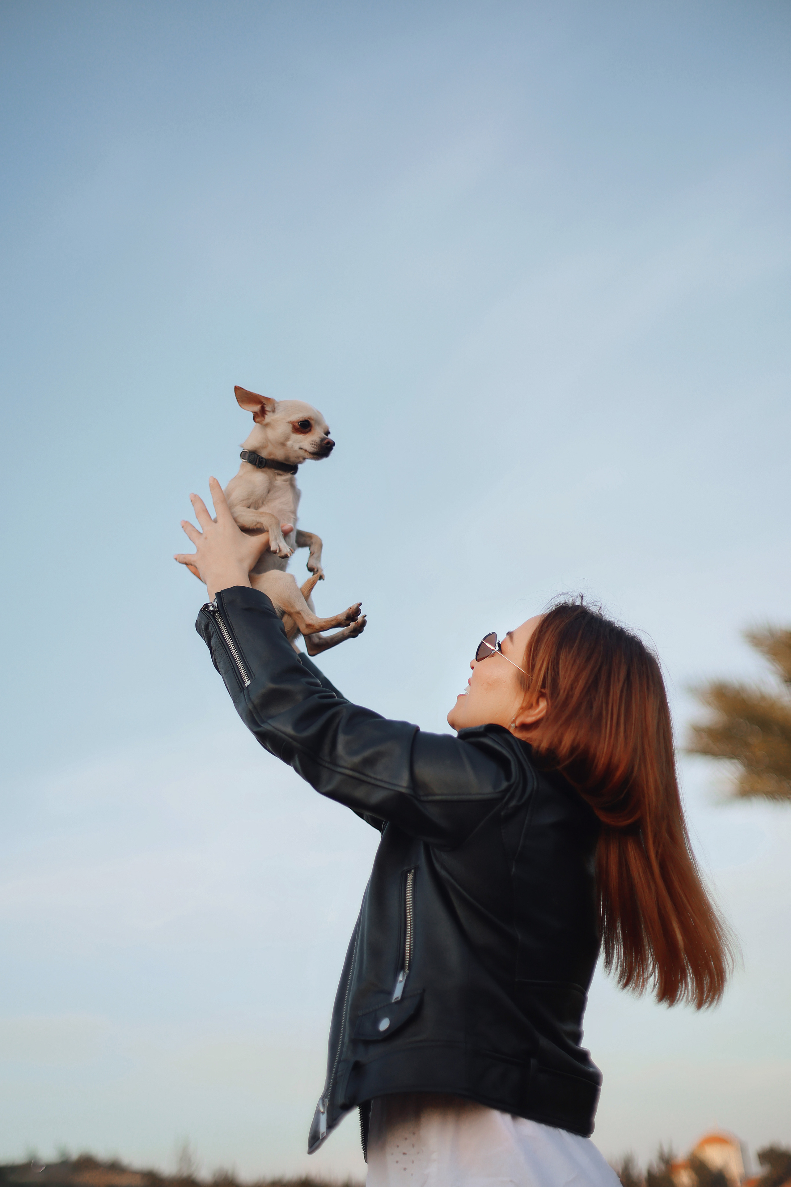 Фотосессия в маках. Апрель, 2023,. Kipriotka. Ваш фотограф на Кипре (Айя-Напа, Протарас)