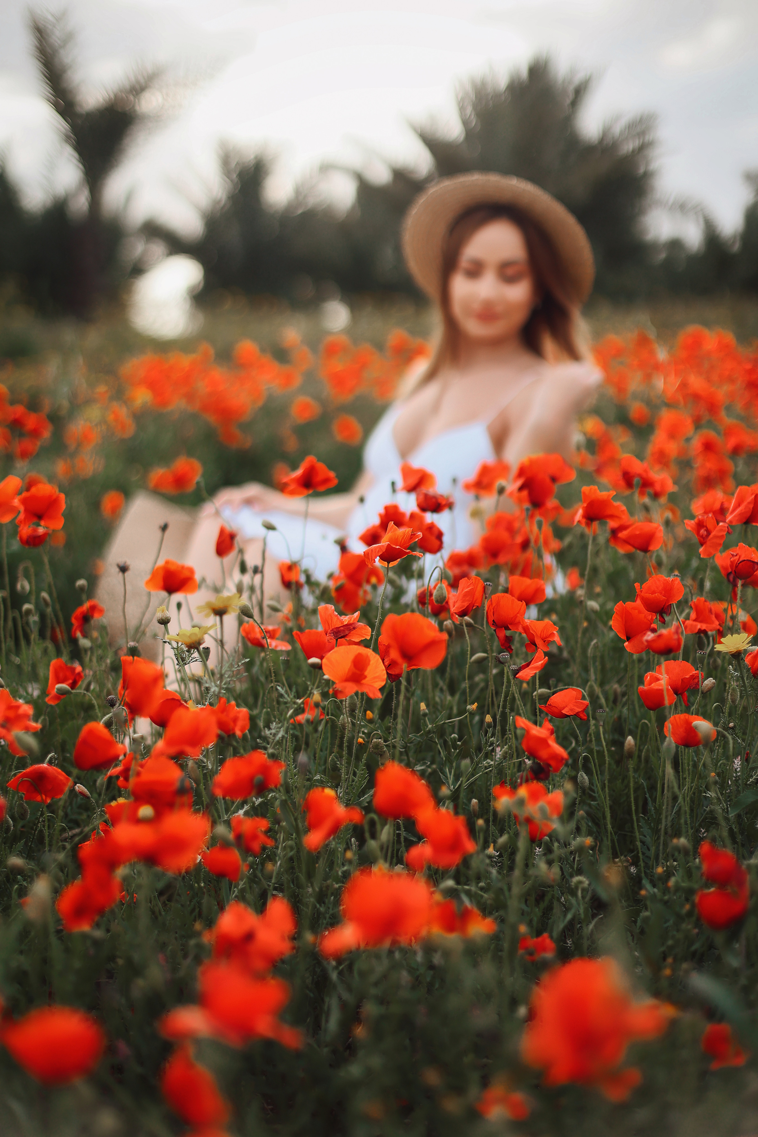 Фотосессия в маках. Апрель, 2023,. Kipriotka. Ваш фотограф на Кипре (Айя-Напа, Протарас)