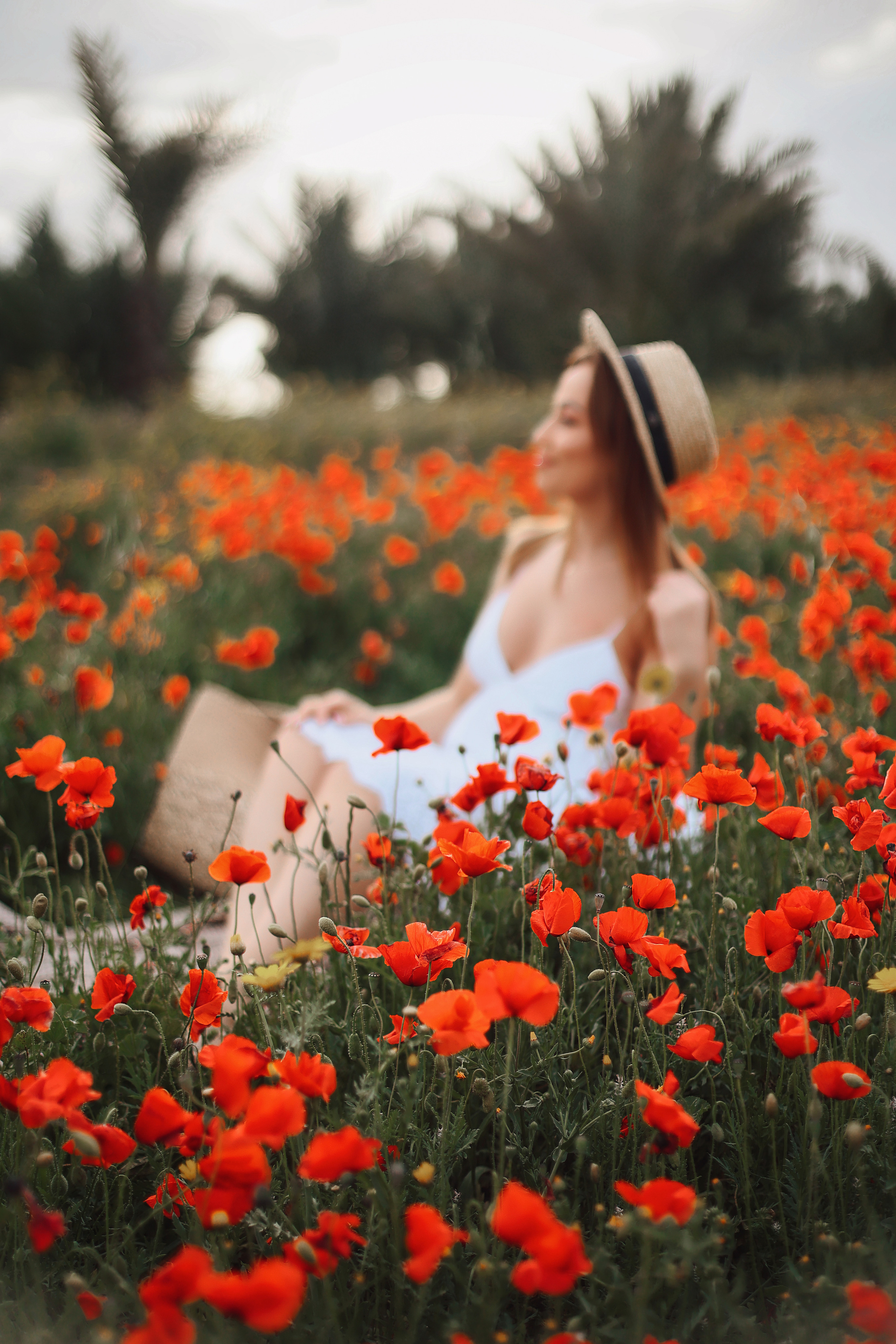 Фотосессия в маках. Апрель, 2023,. Kipriotka. Ваш фотограф на Кипре (Айя-Напа, Протарас)