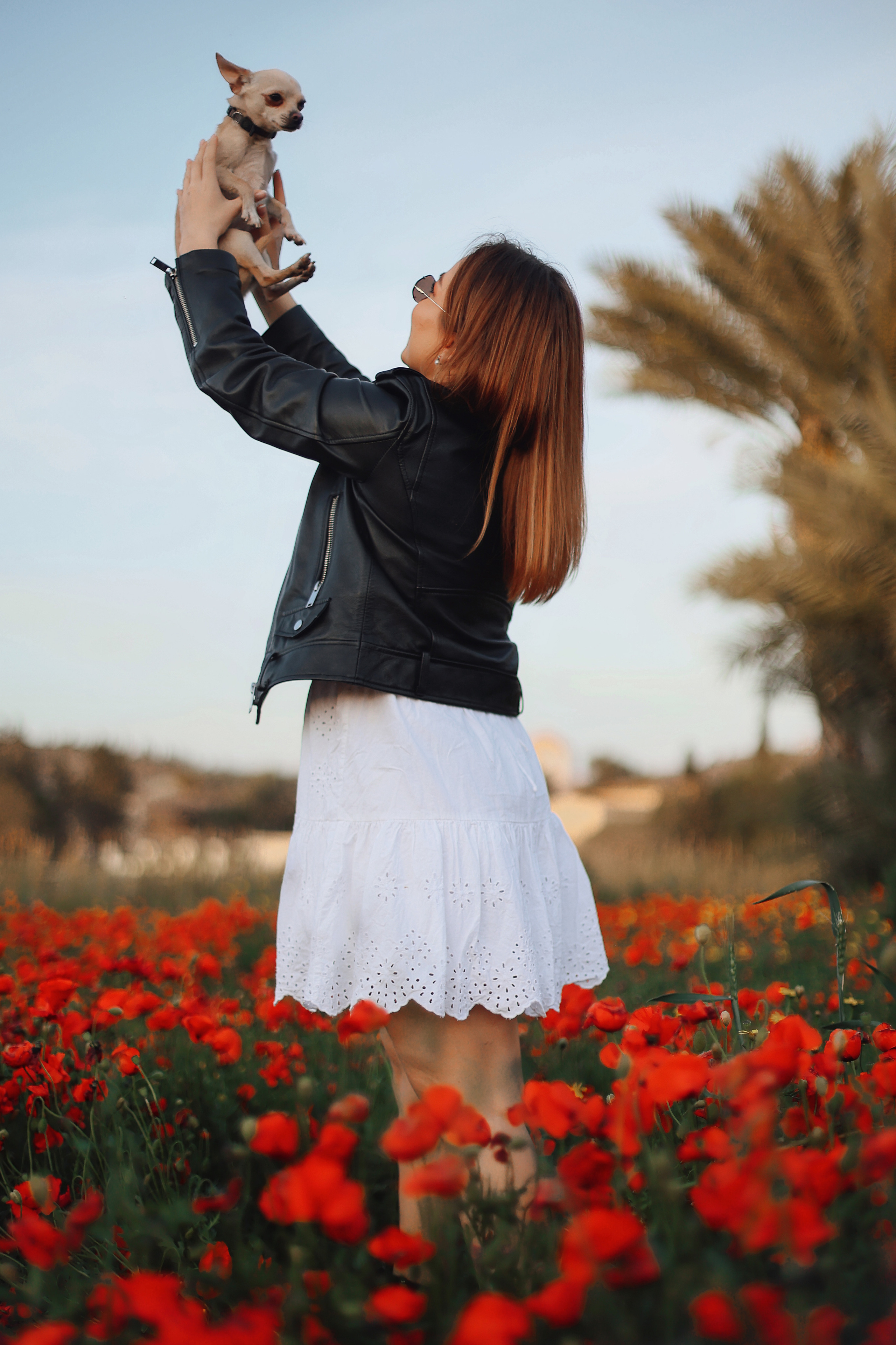 Фотосессия в маках. Апрель, 2023,. Kipriotka. Ваш фотограф на Кипре (Айя-Напа, Протарас)