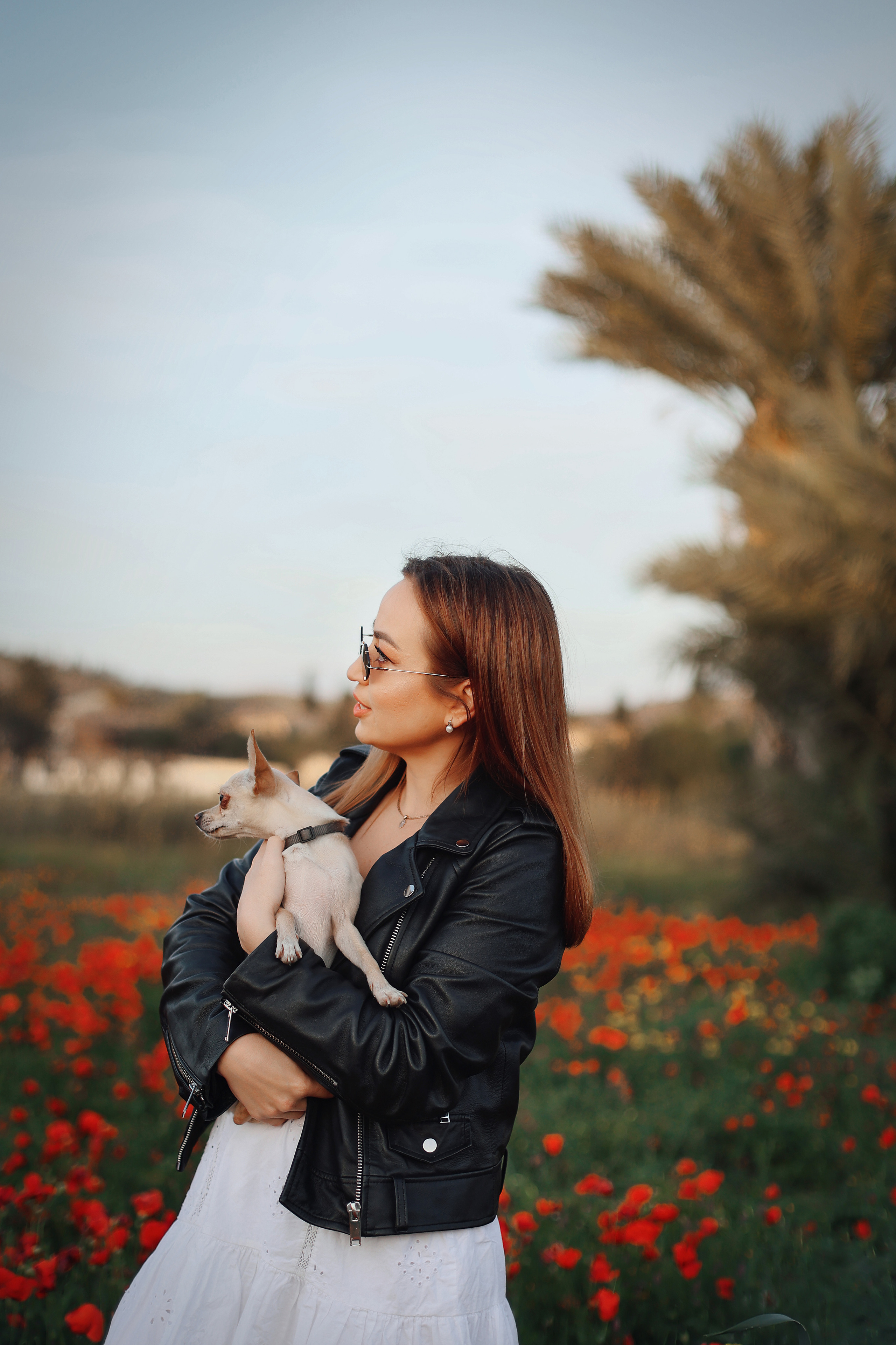 Фотосессия в маках. Апрель, 2023,. Kipriotka. Ваш фотограф на Кипре (Айя-Напа, Протарас)