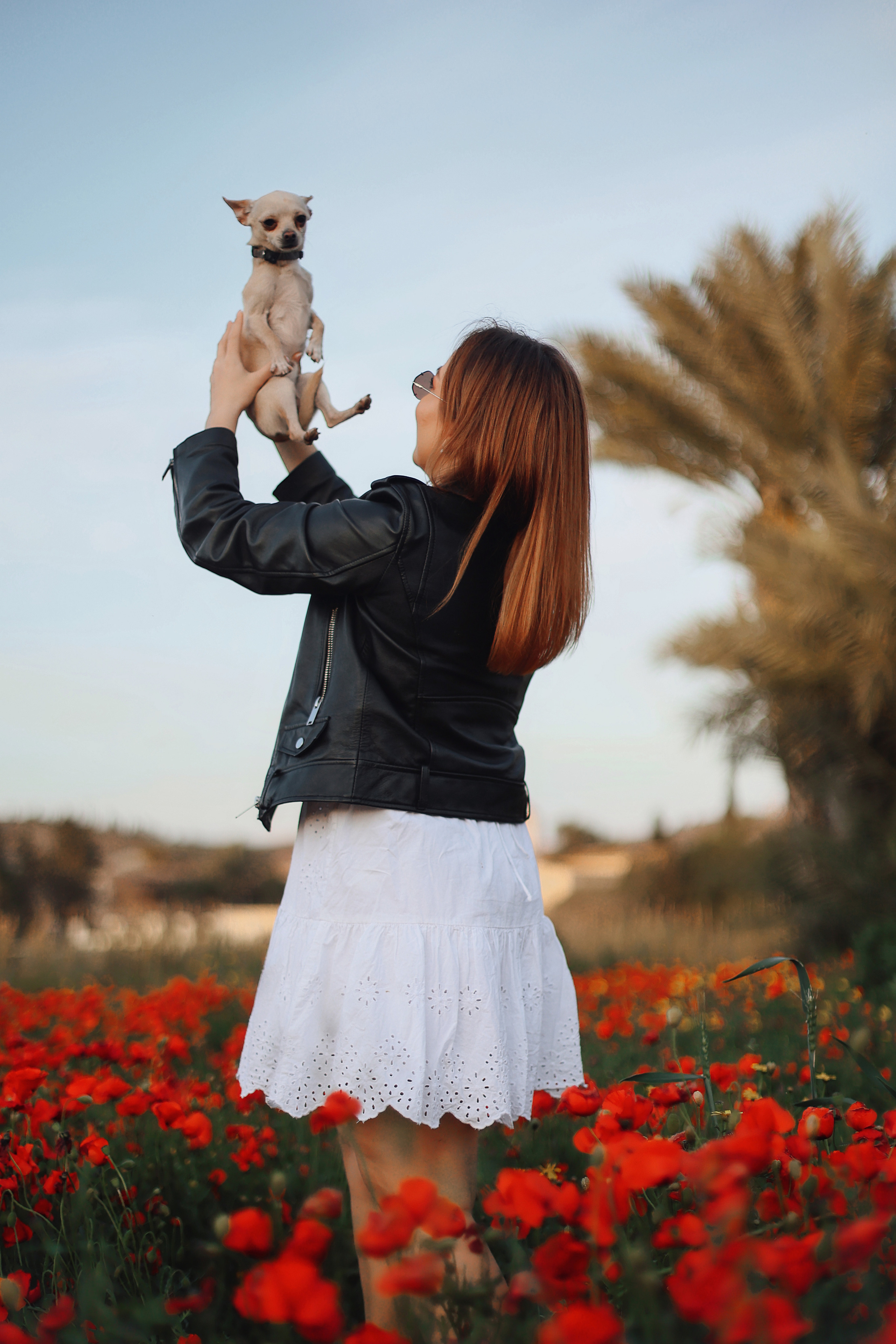 Фотосессия в маках. Апрель, 2023,. Kipriotka. Ваш фотограф на Кипре (Айя-Напа, Протарас)