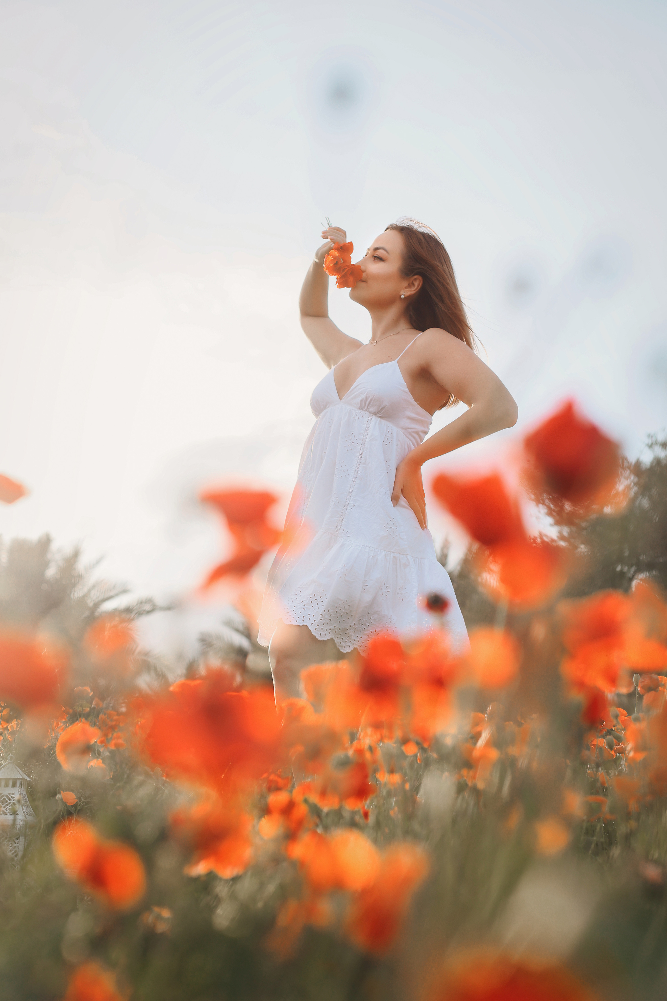Фотосессия в маках. Апрель, 2023,. Kipriotka. Ваш фотограф на Кипре (Айя-Напа, Протарас)