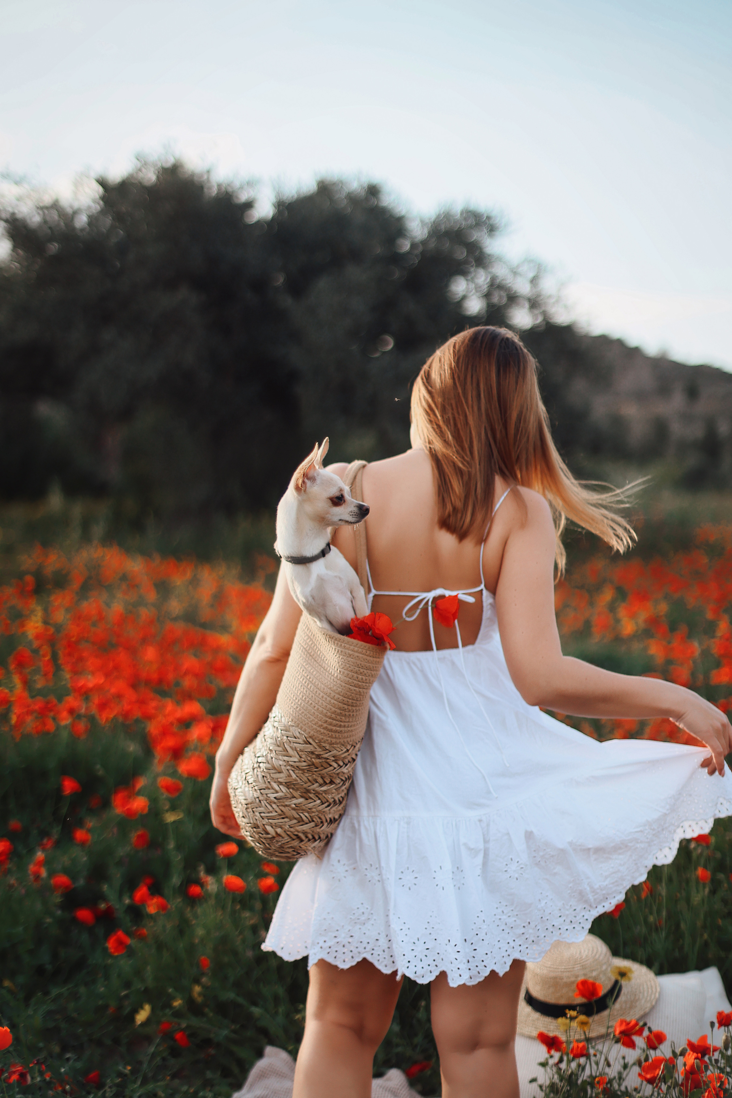 Фотосессия в маках. Апрель, 2023,. Kipriotka. Ваш фотограф на Кипре (Айя-Напа, Протарас)