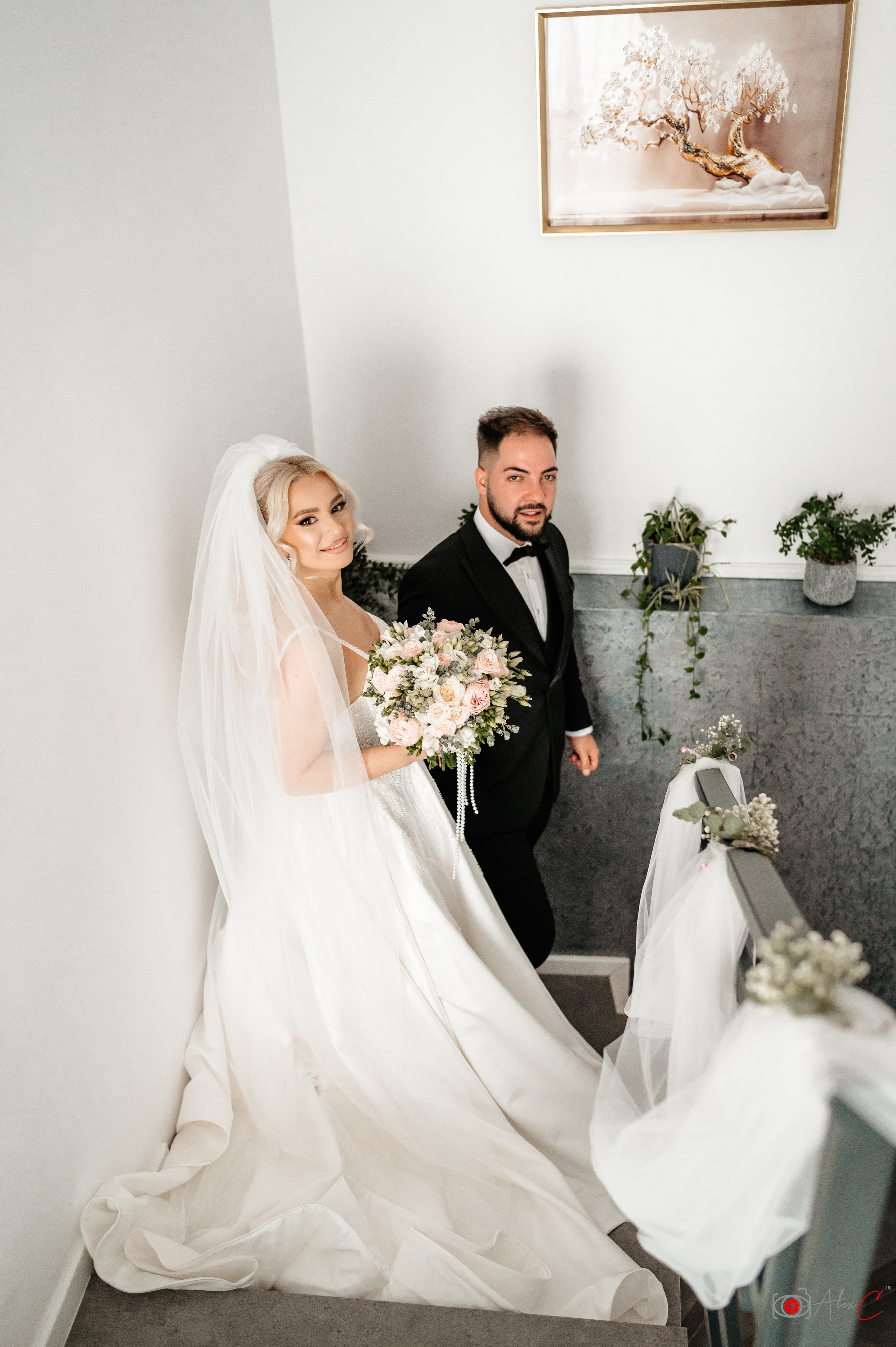 Diana&Cătălin. Fotograf de evenimente