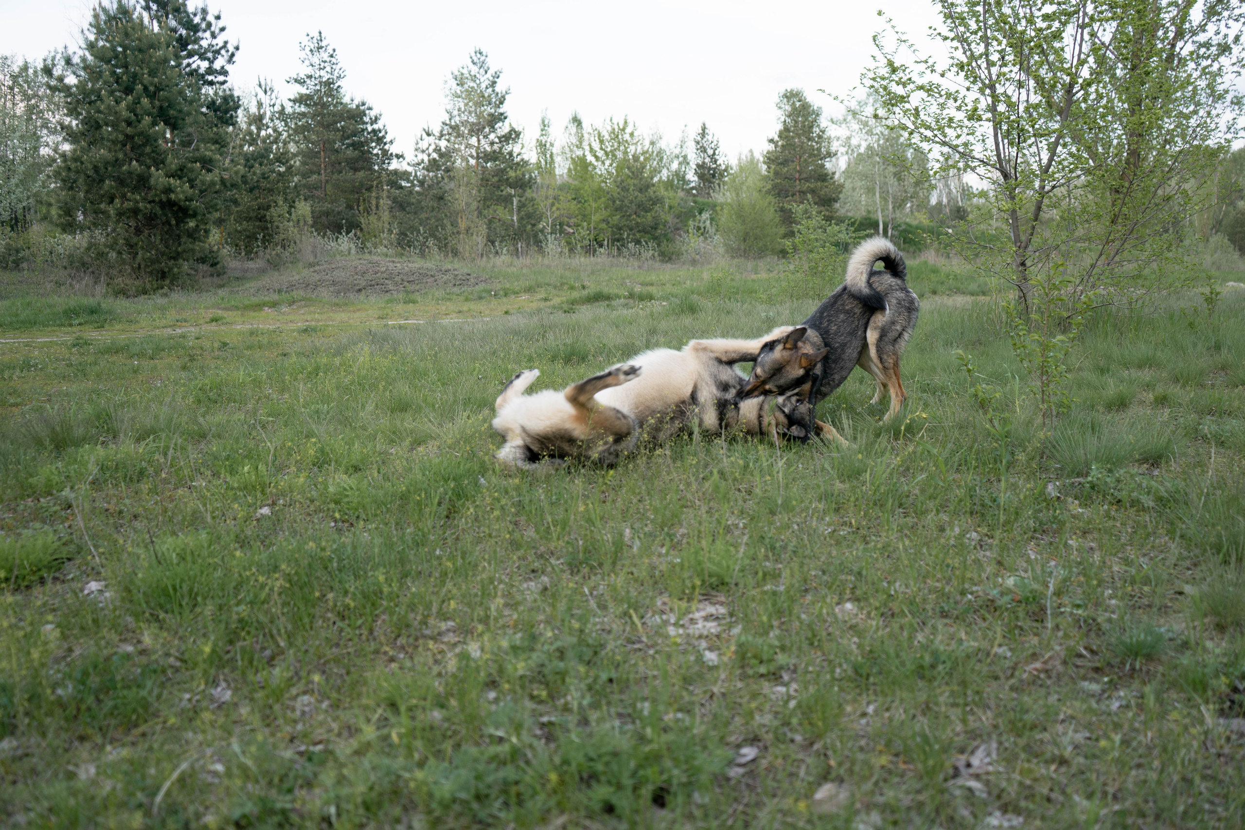 Jack. Lifestyle фотограф Турку. Ловлю эмоции в кадре