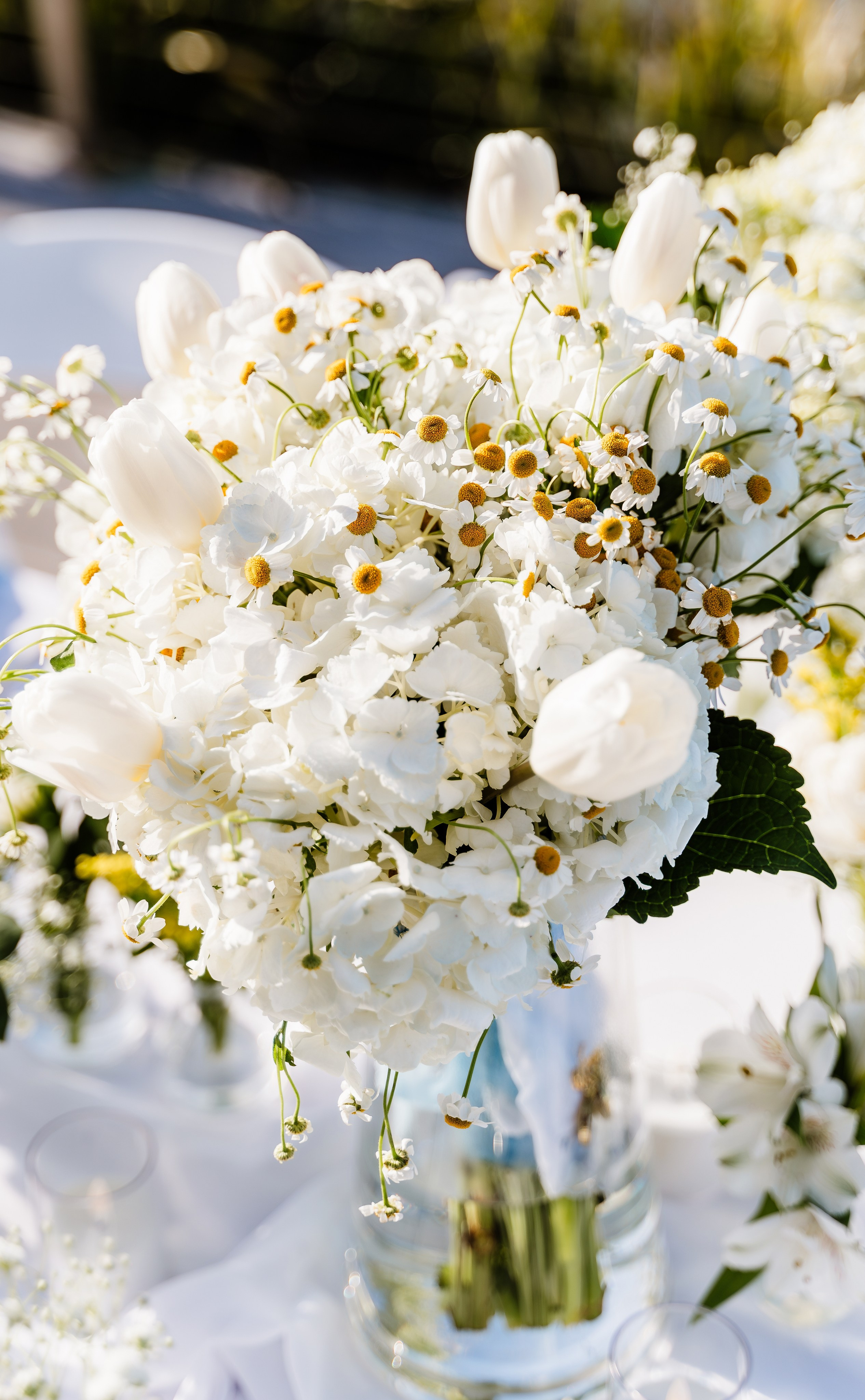 Jaime & Trynne Wedding. Pixel Pie — Wedding Photography & Videography