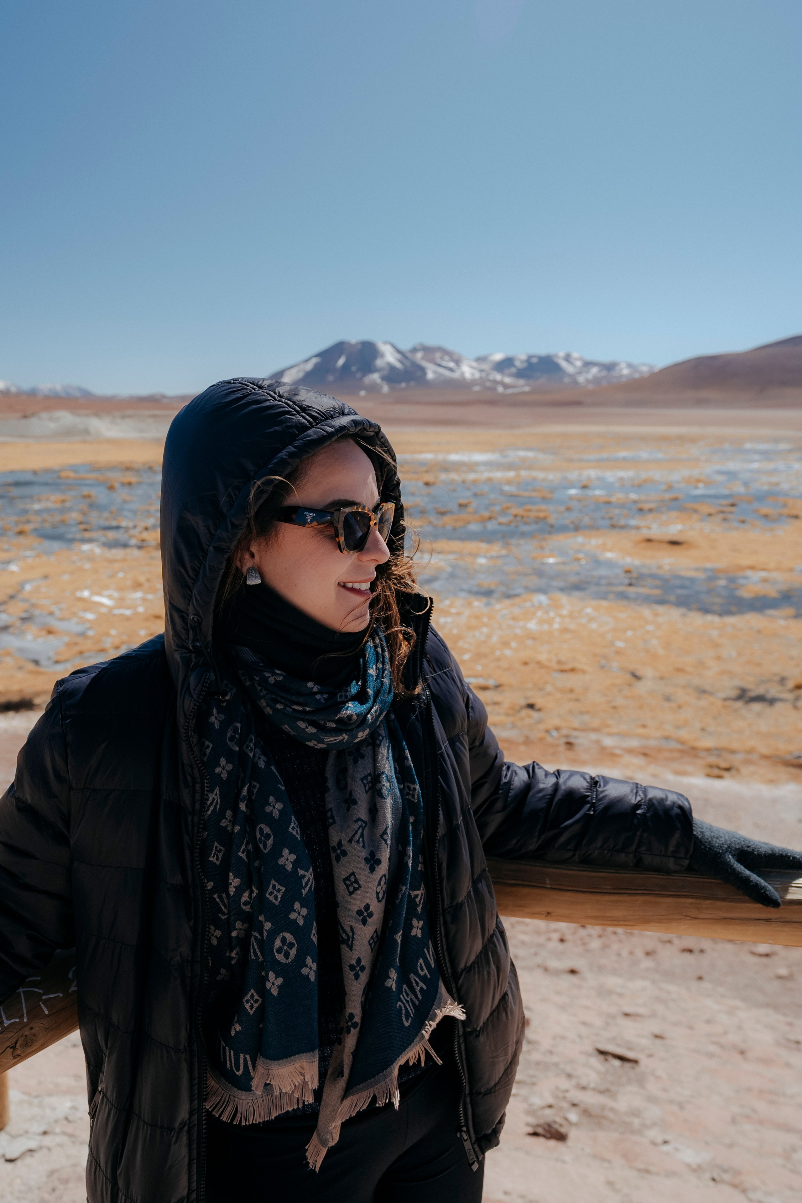 Geyser El Tatio (cobertura en tour privado). Principal