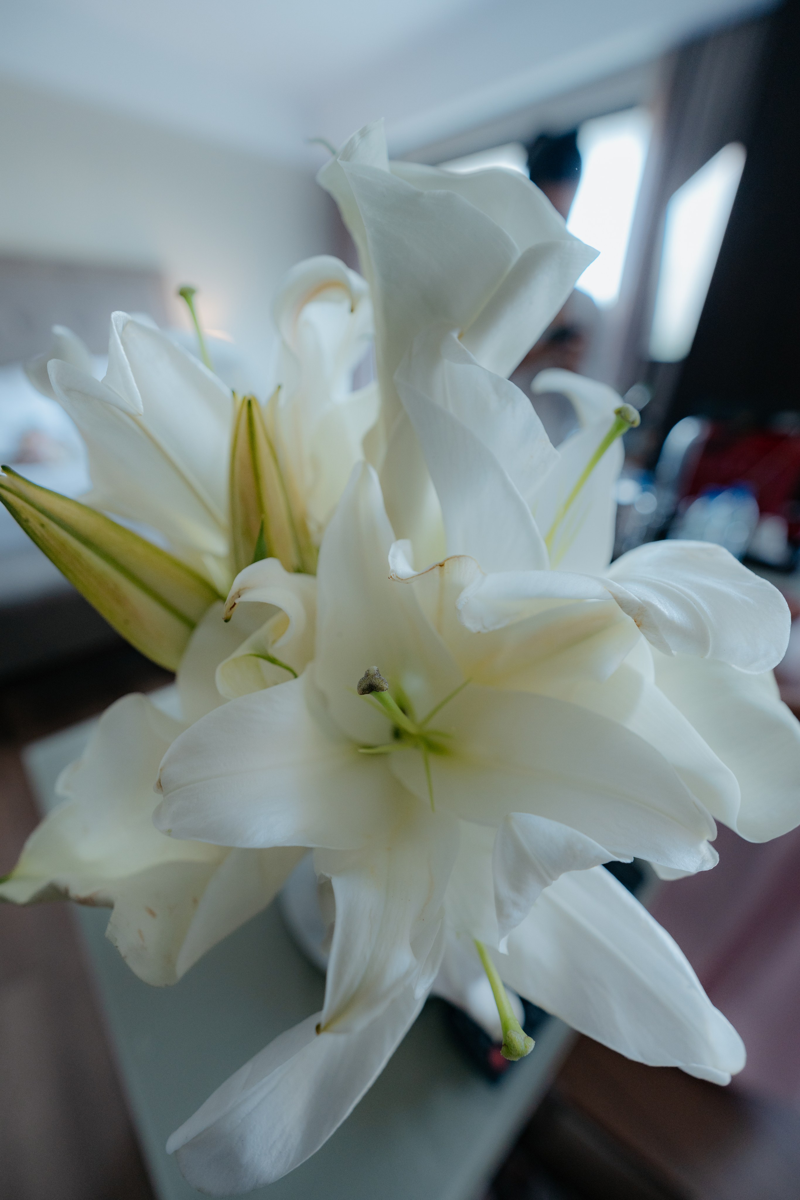 Jessica e Anna Luiza (matrimonio). Principal